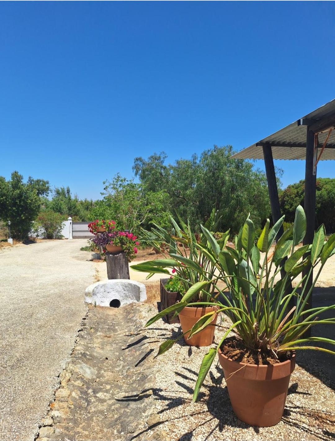 casa rural Santamaría con piscina y wifi