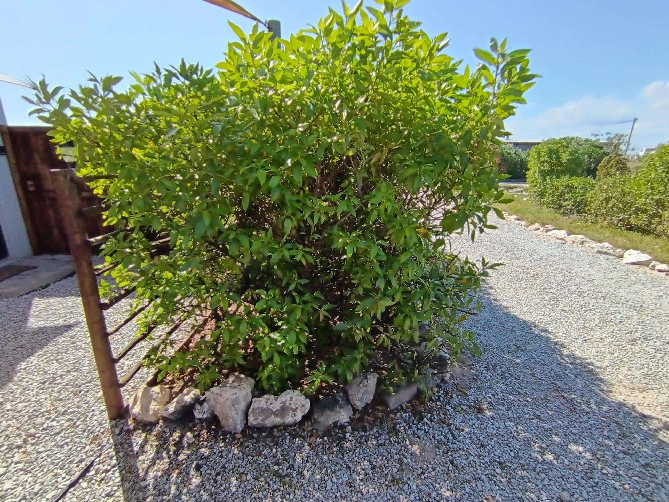 Photo 46