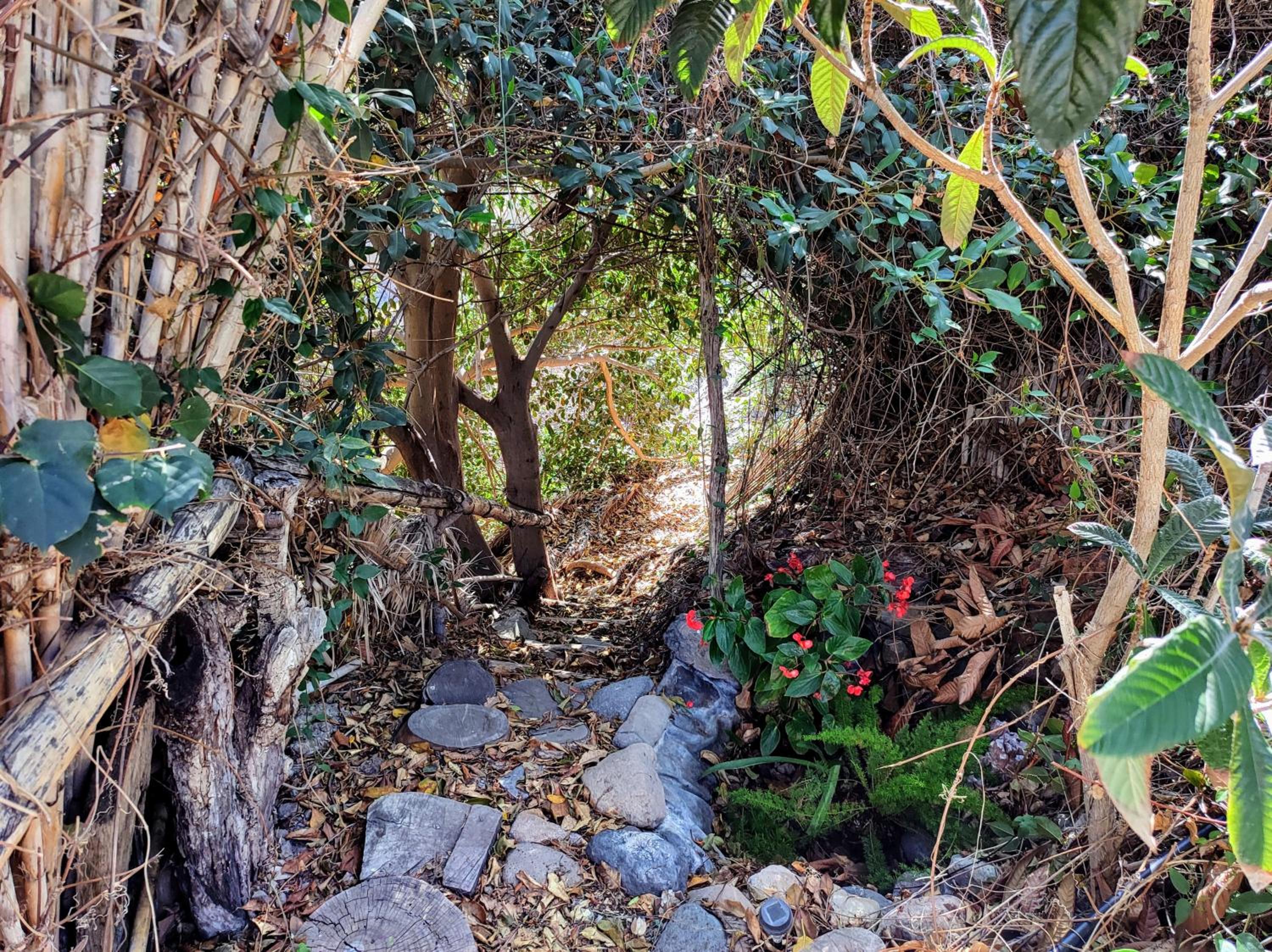 Rivendell Eco lodge
