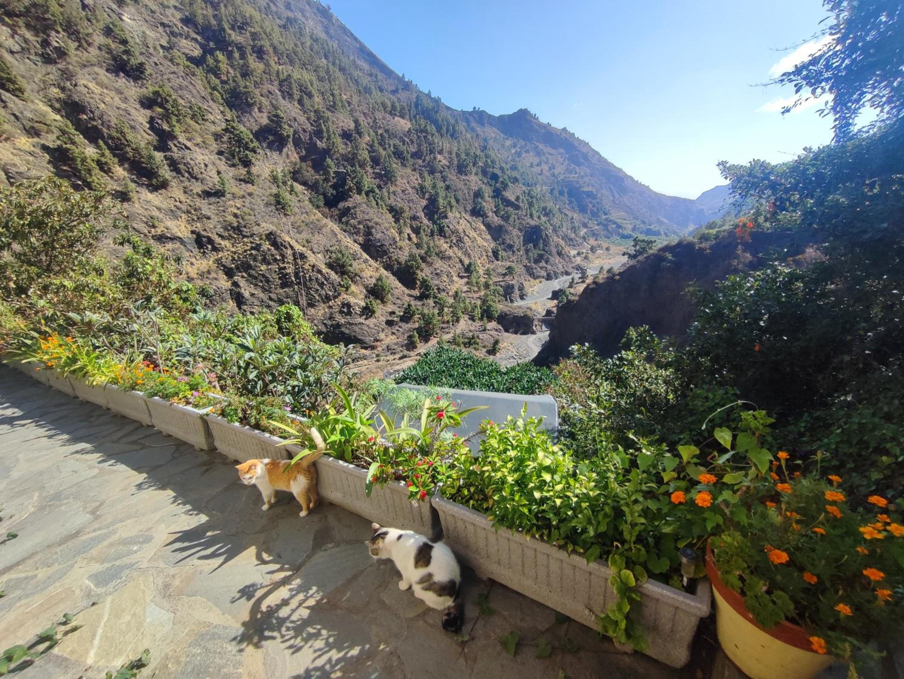 Rivendell Eco lodge