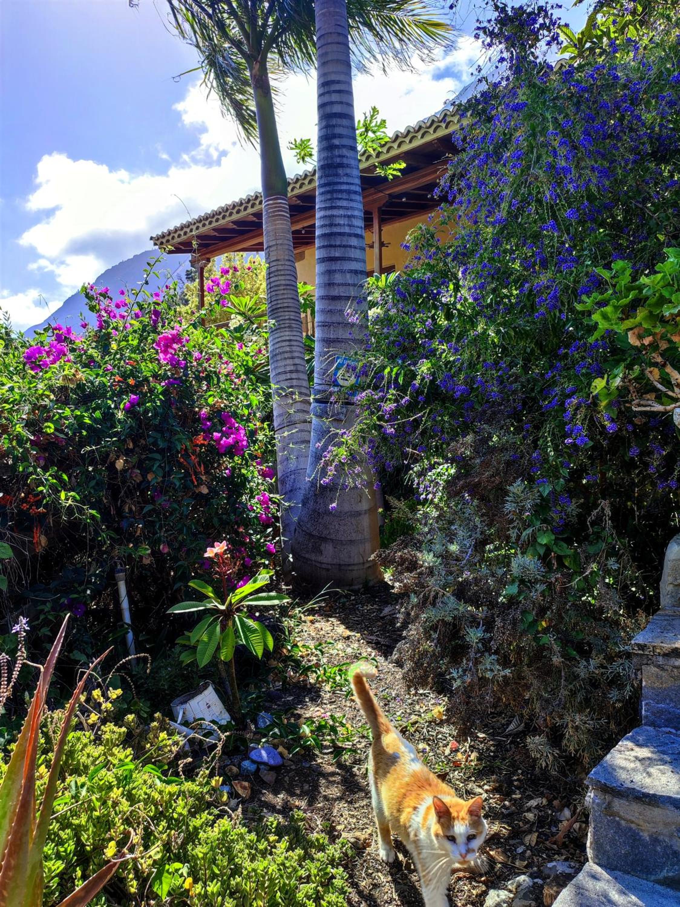 Rivendell Eco lodge