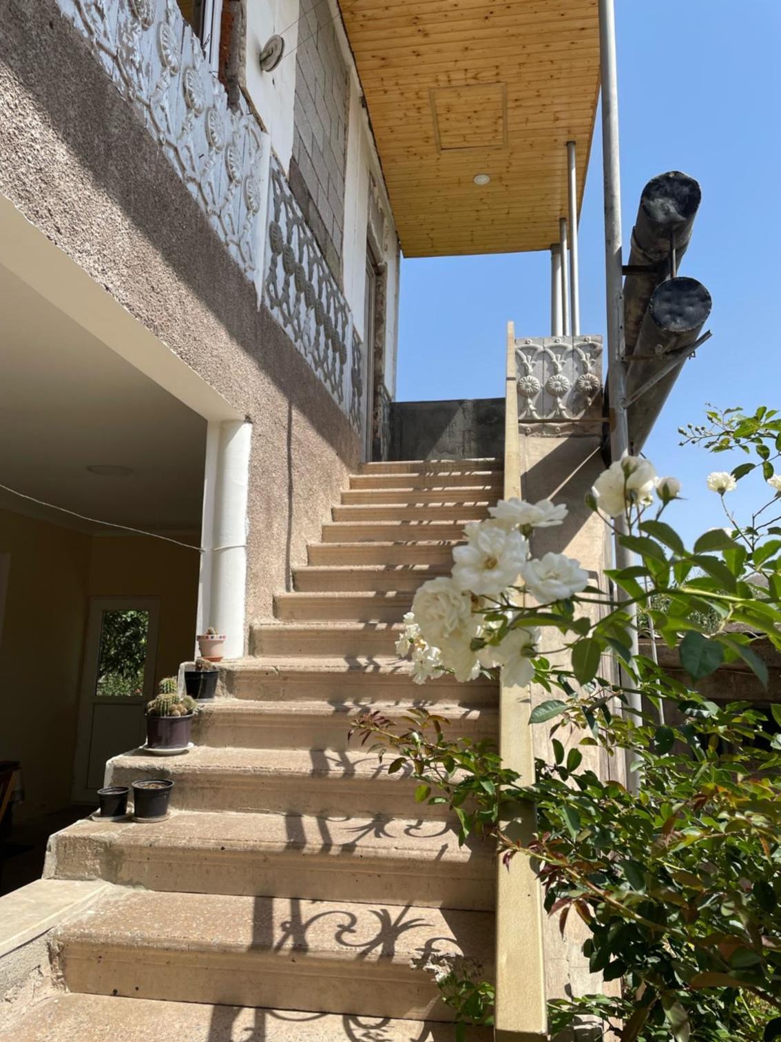 ARARAT 3-room guest house