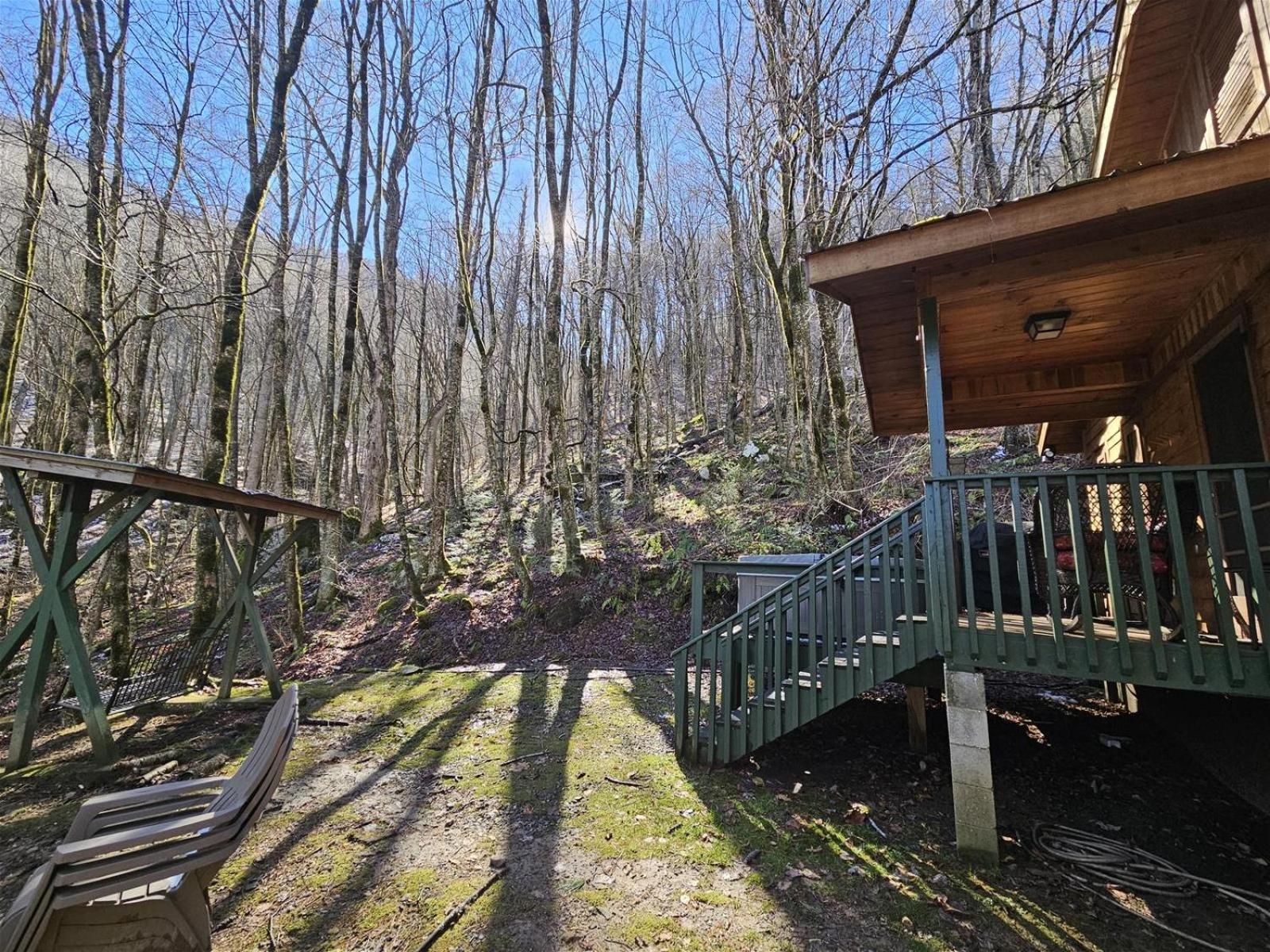 Dragonfly Cabin