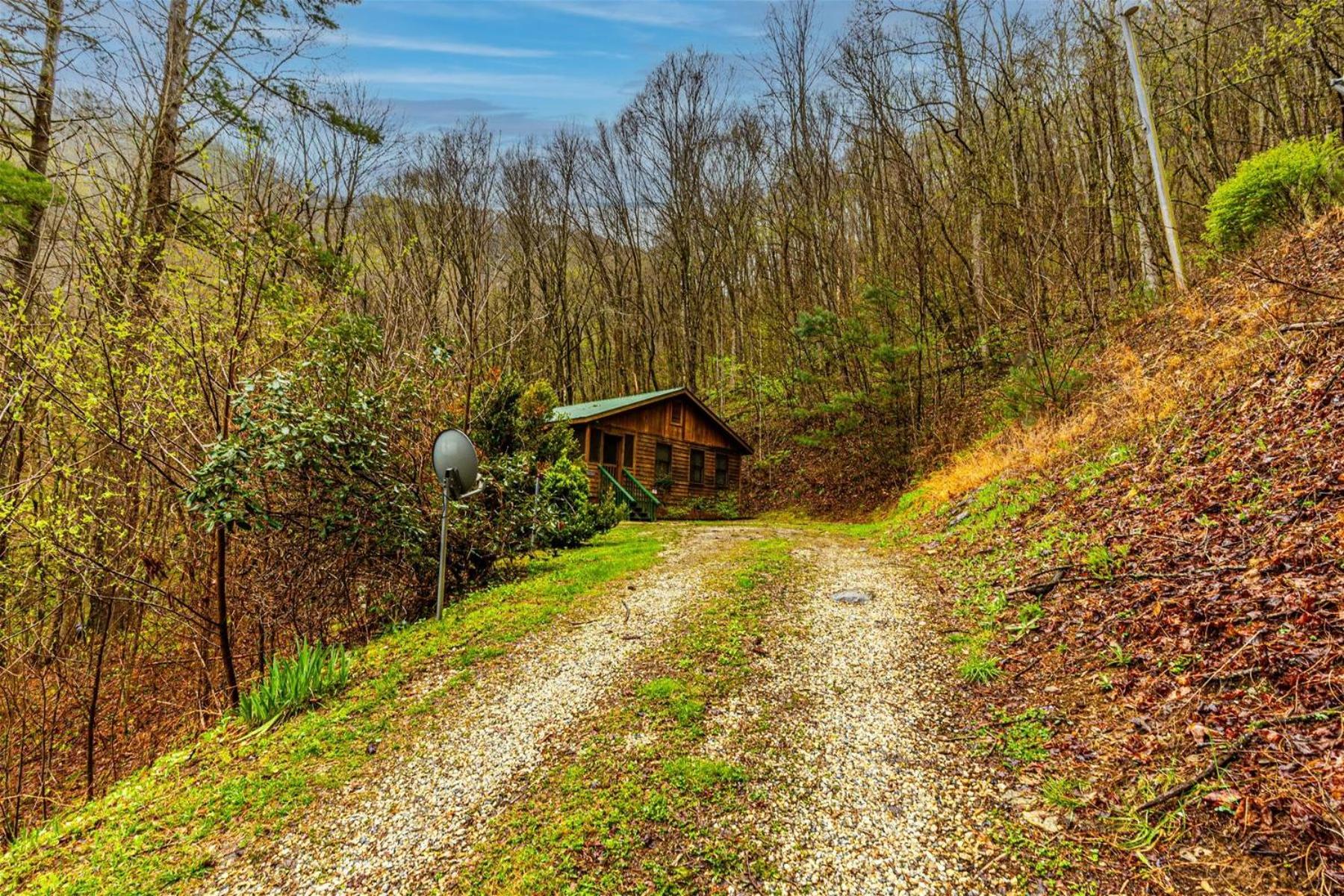 Dragonfly Cabin
