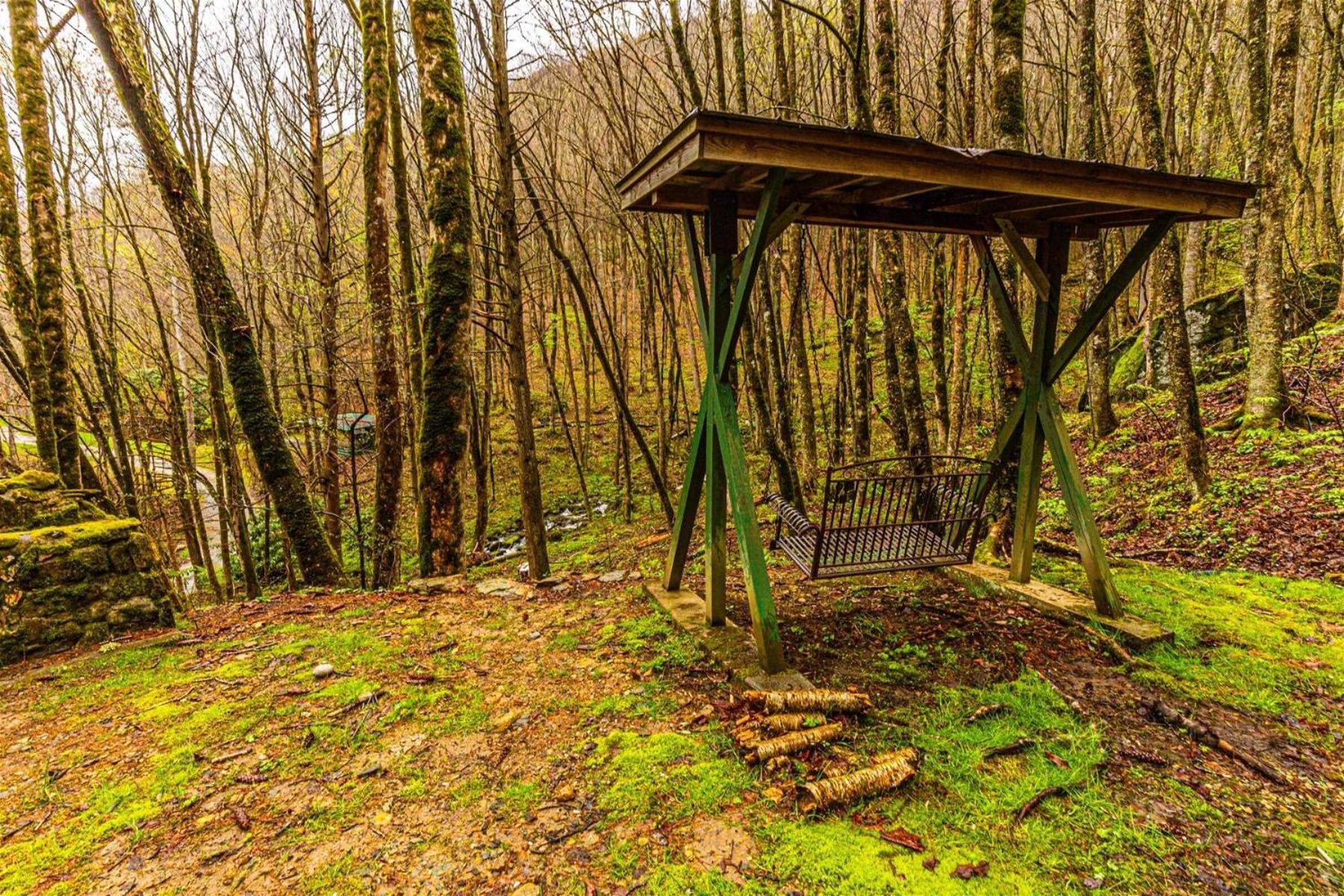 Dragonfly Cabin