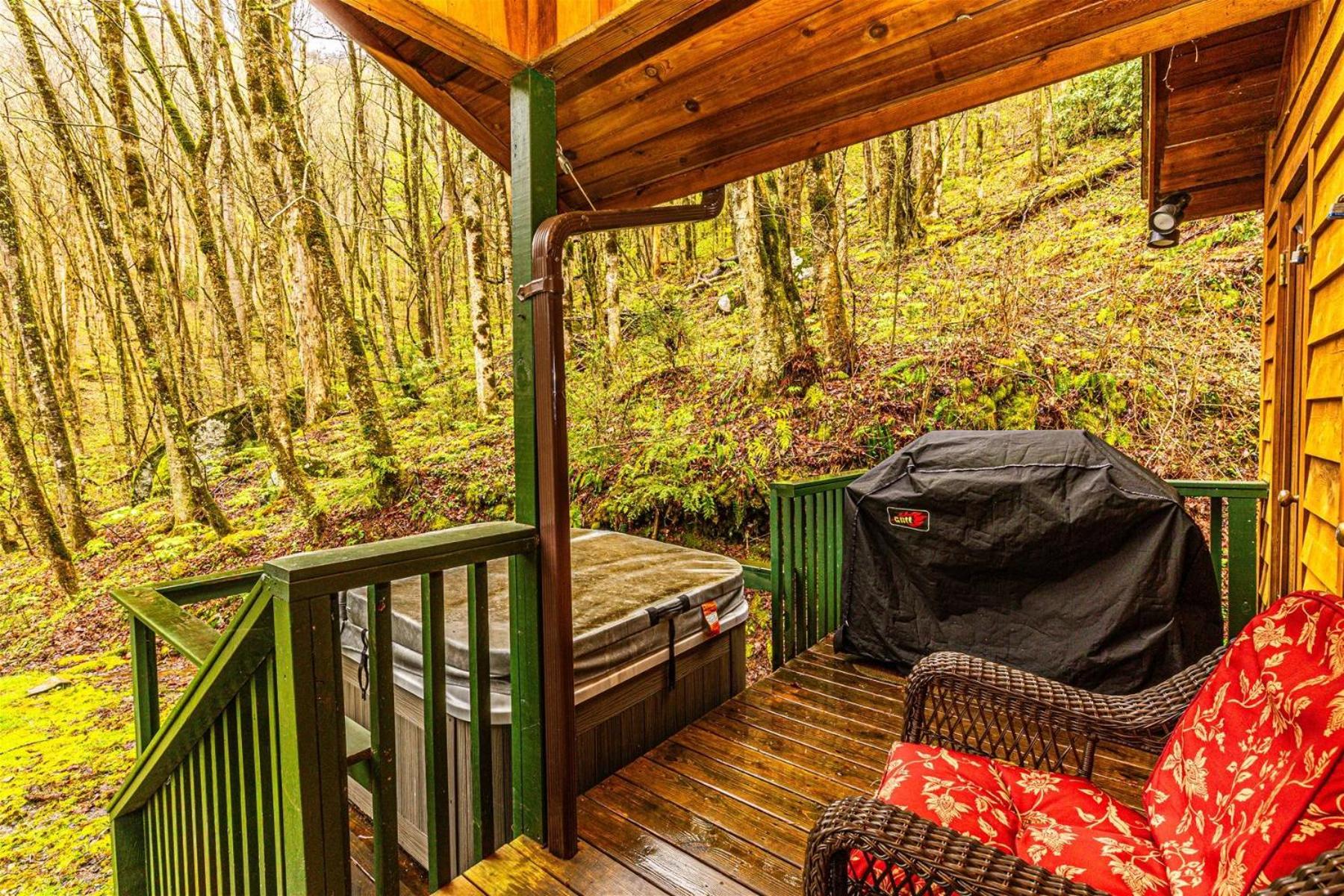 Dragonfly Cabin