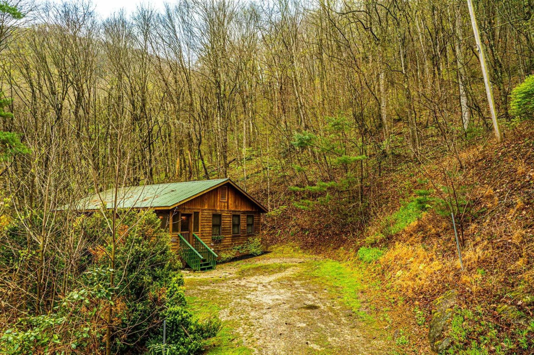 Dragonfly Cabin