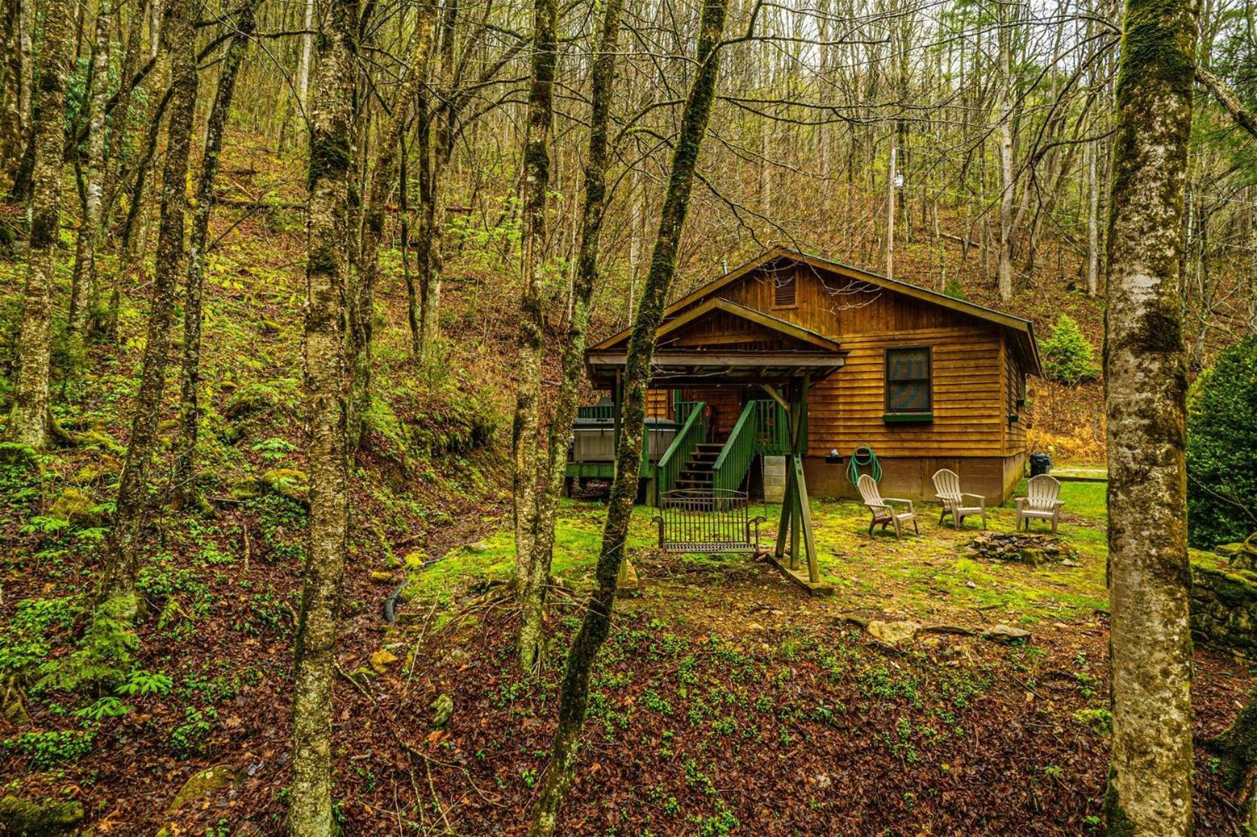 Dragonfly Cabin