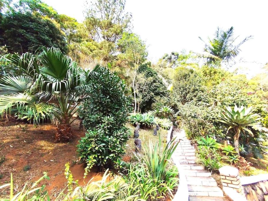 Casa Verde de Natureza