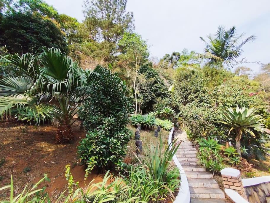 Casa Verde de Natureza