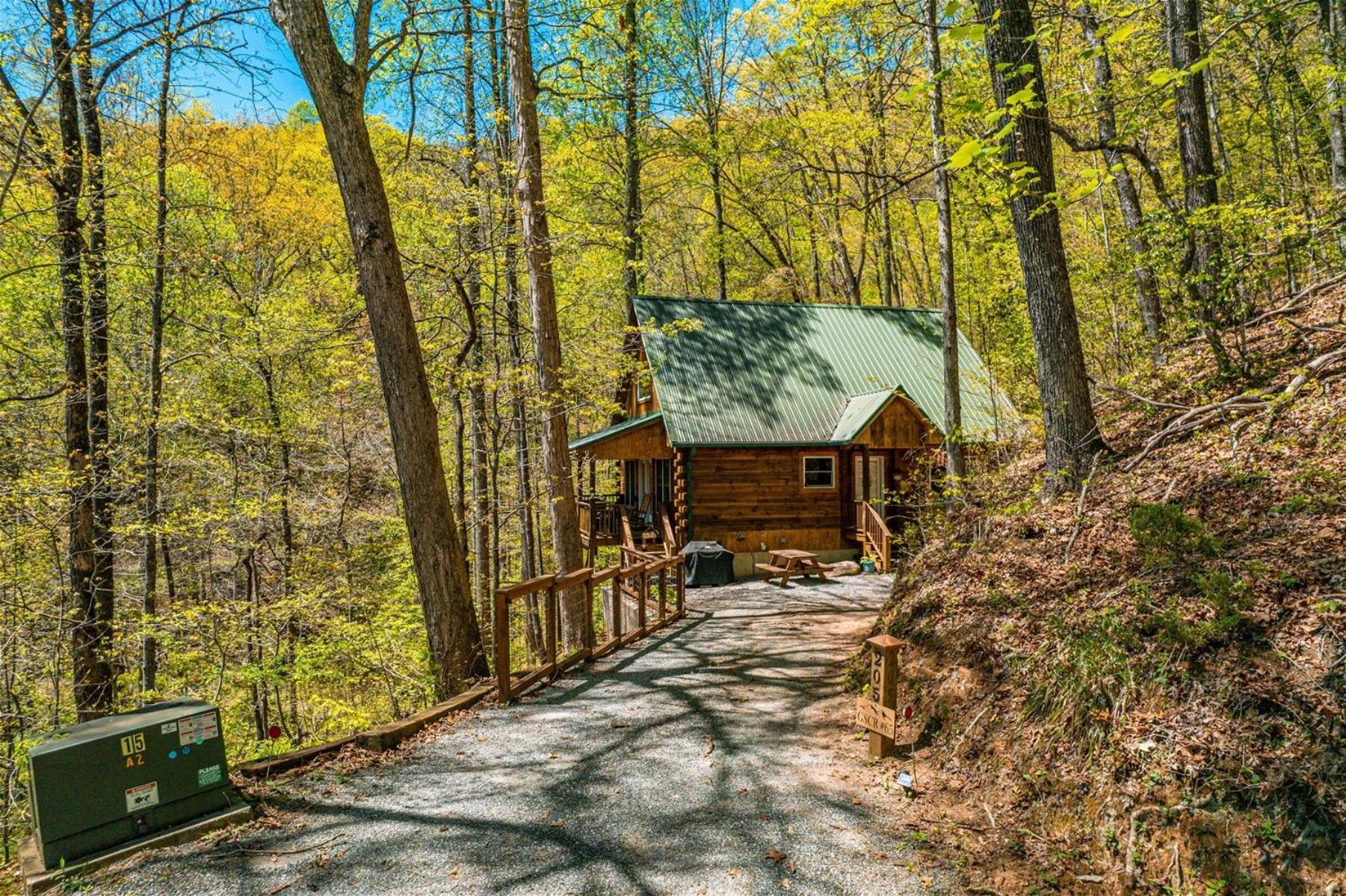 Hummingbird Hollow view 4
