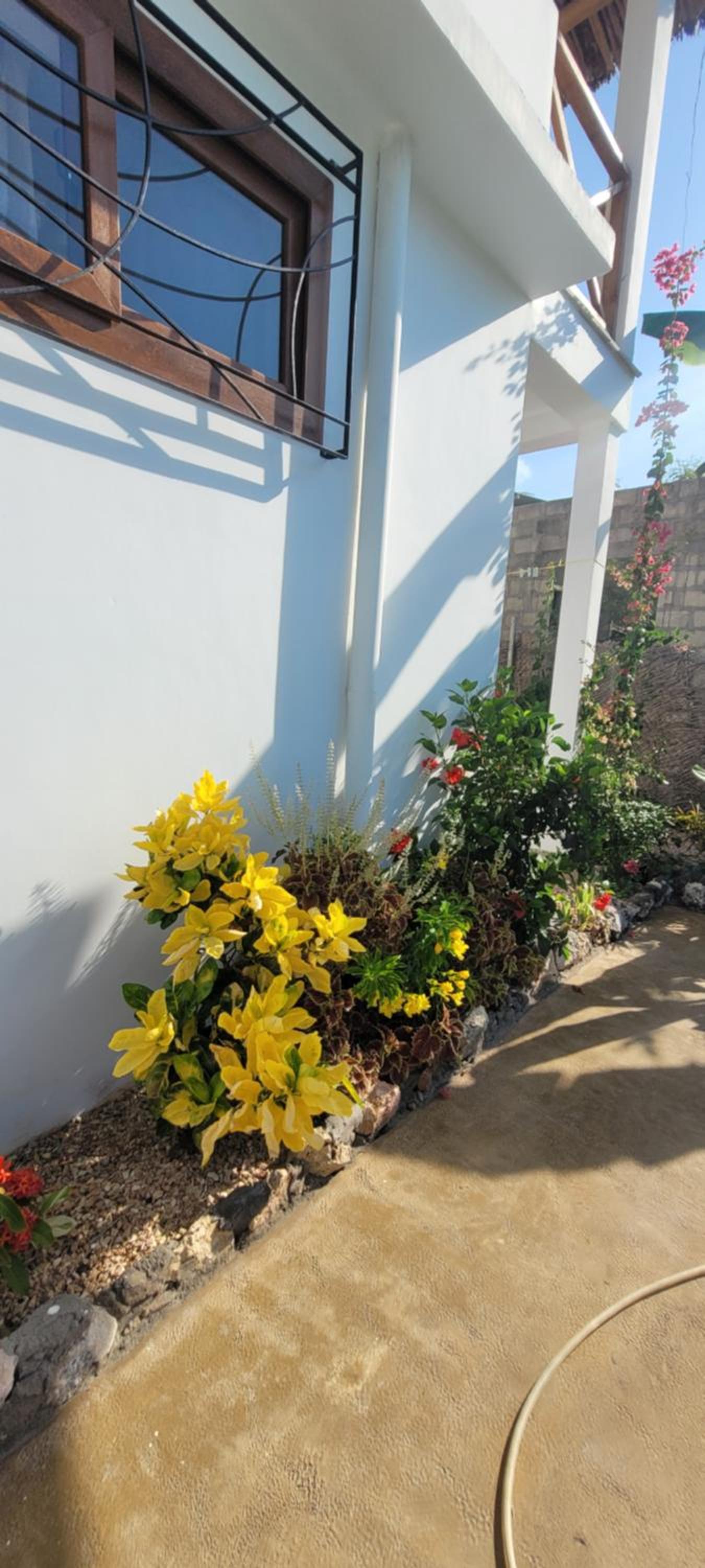 Iaia apartments