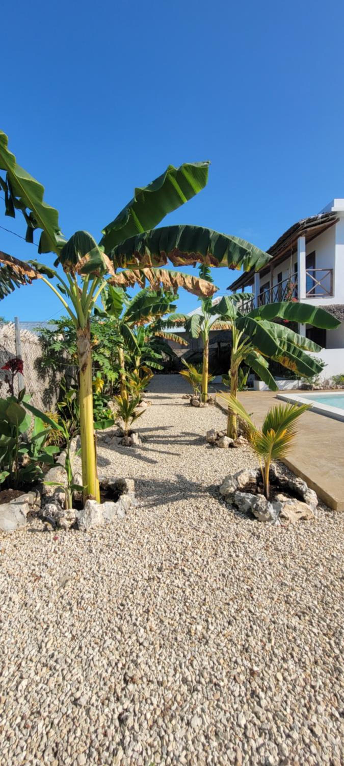 Iaia apartments