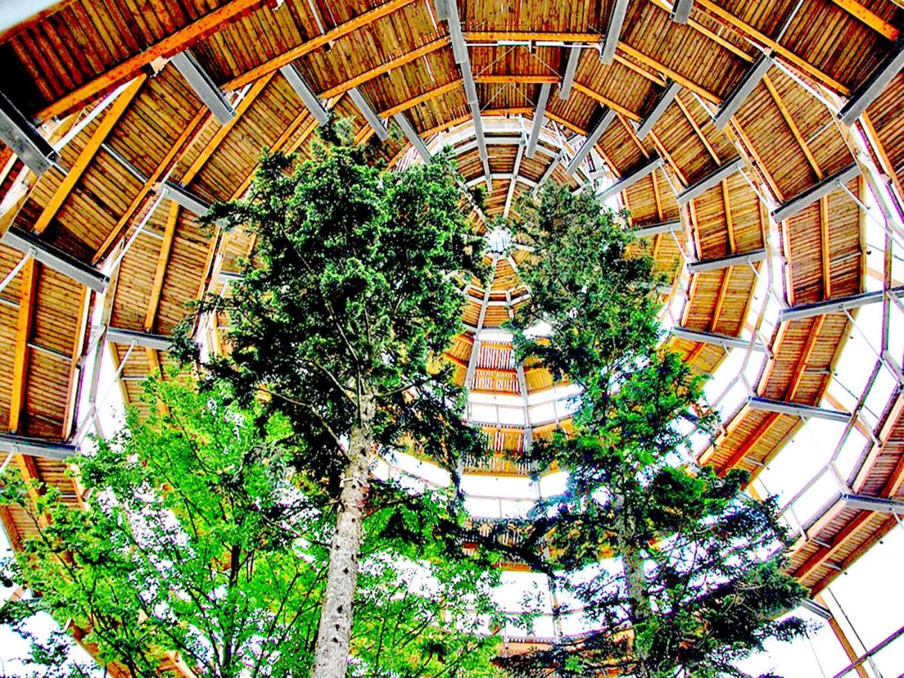 BayerischerWald-Ferien-Blockhaus-Panoramablick-Grafenau Haus im Wald-Vogelthenne 19, fast Alleinlage-ILZtal-Blick nähe Rothauer, Saldenburger, Ebenreuther 