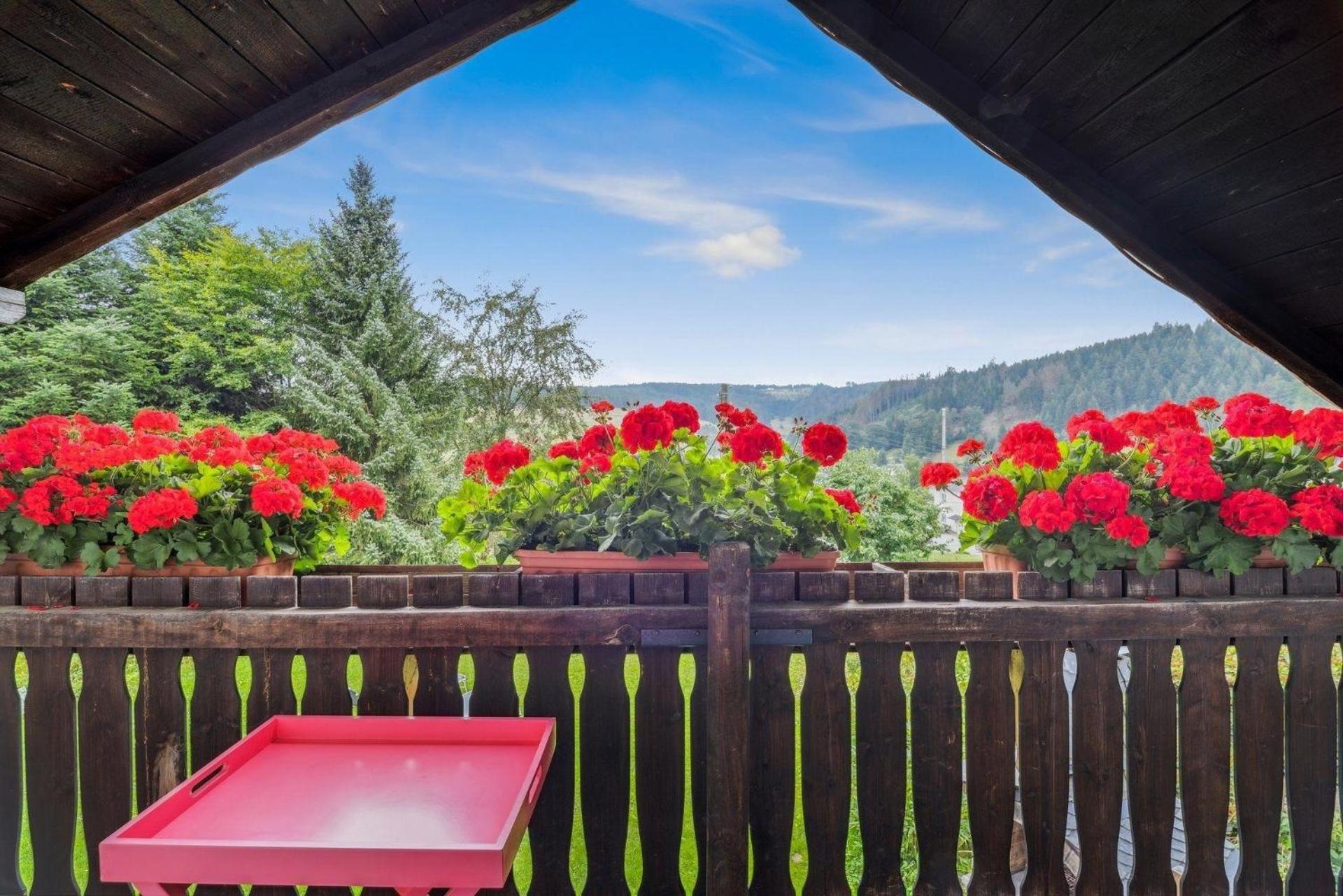 Ferienhaus Panoramablick
