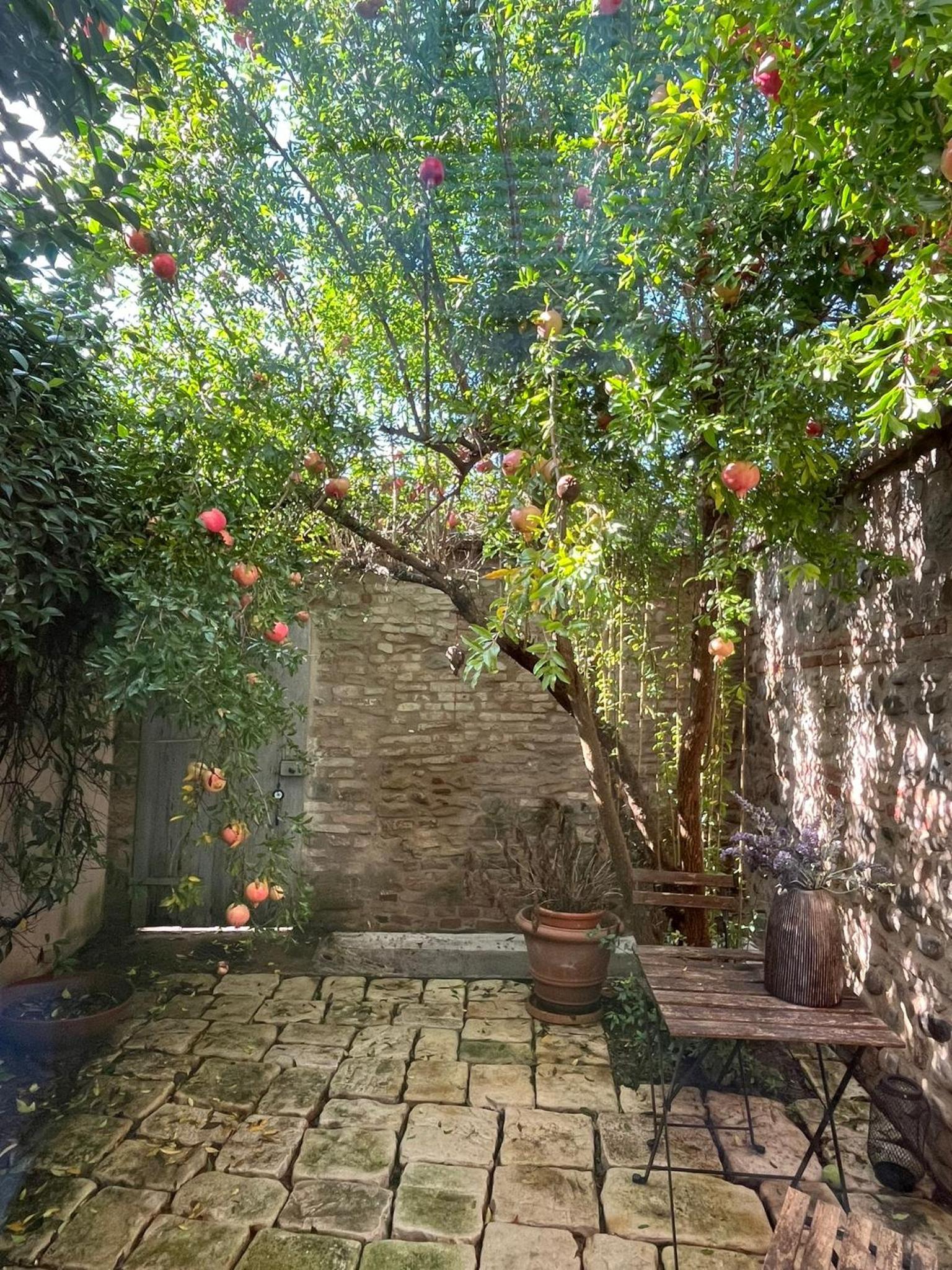 Casa evelina view 3