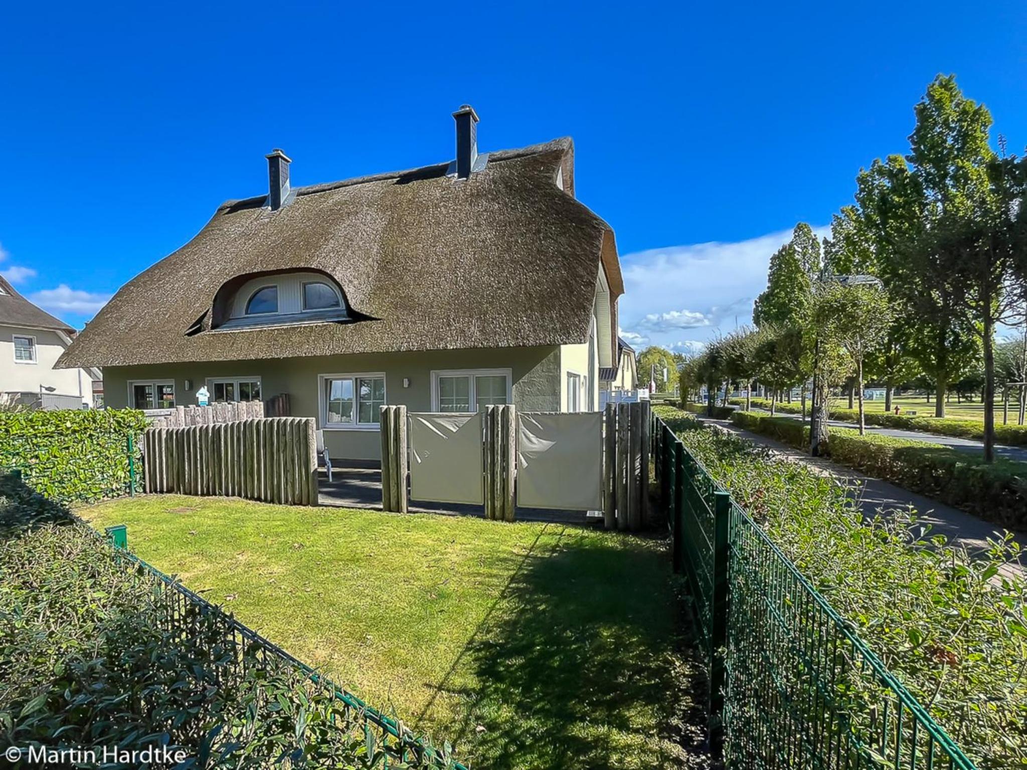 Seemöwe view 3