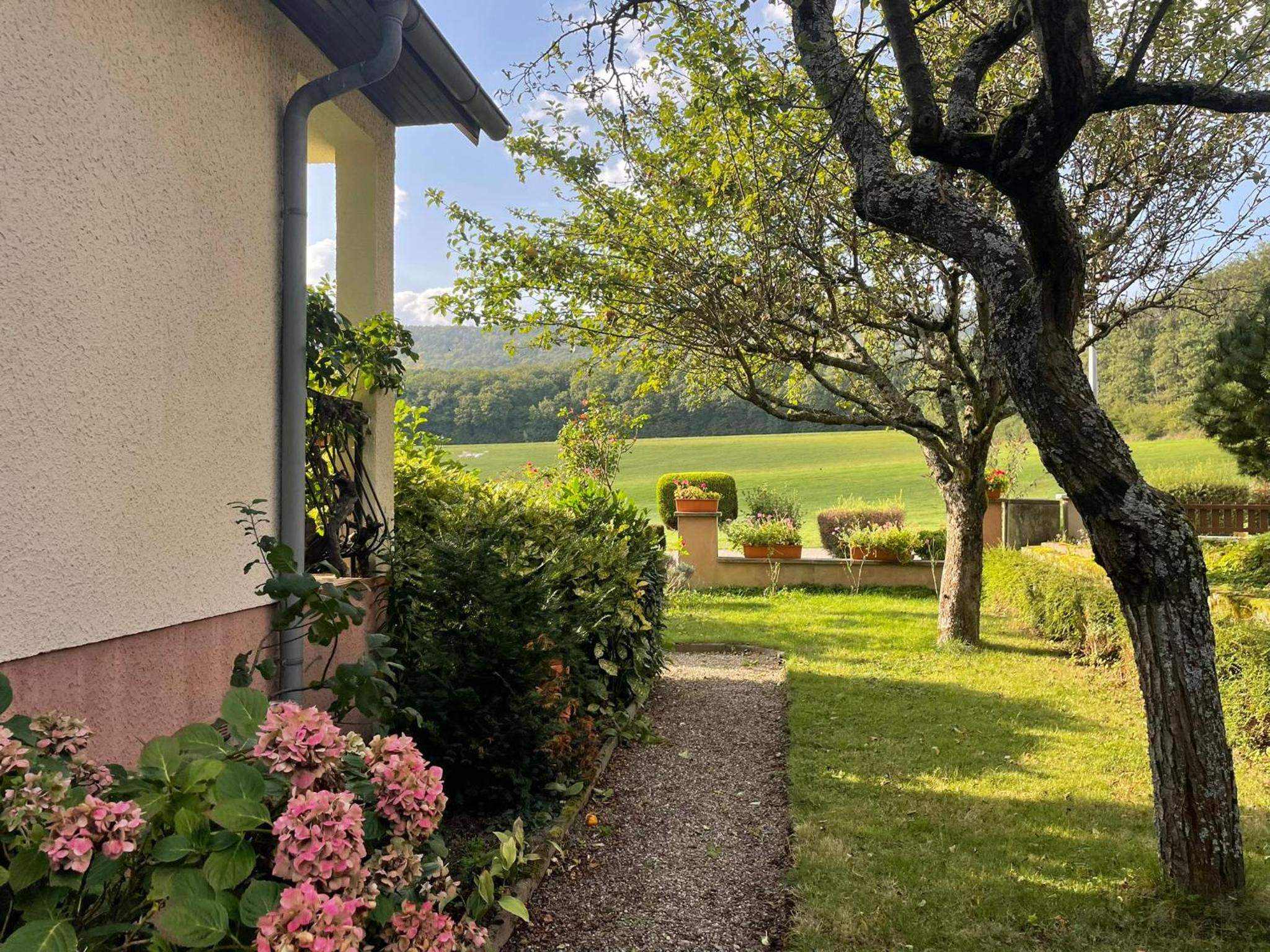La Maison des Roses