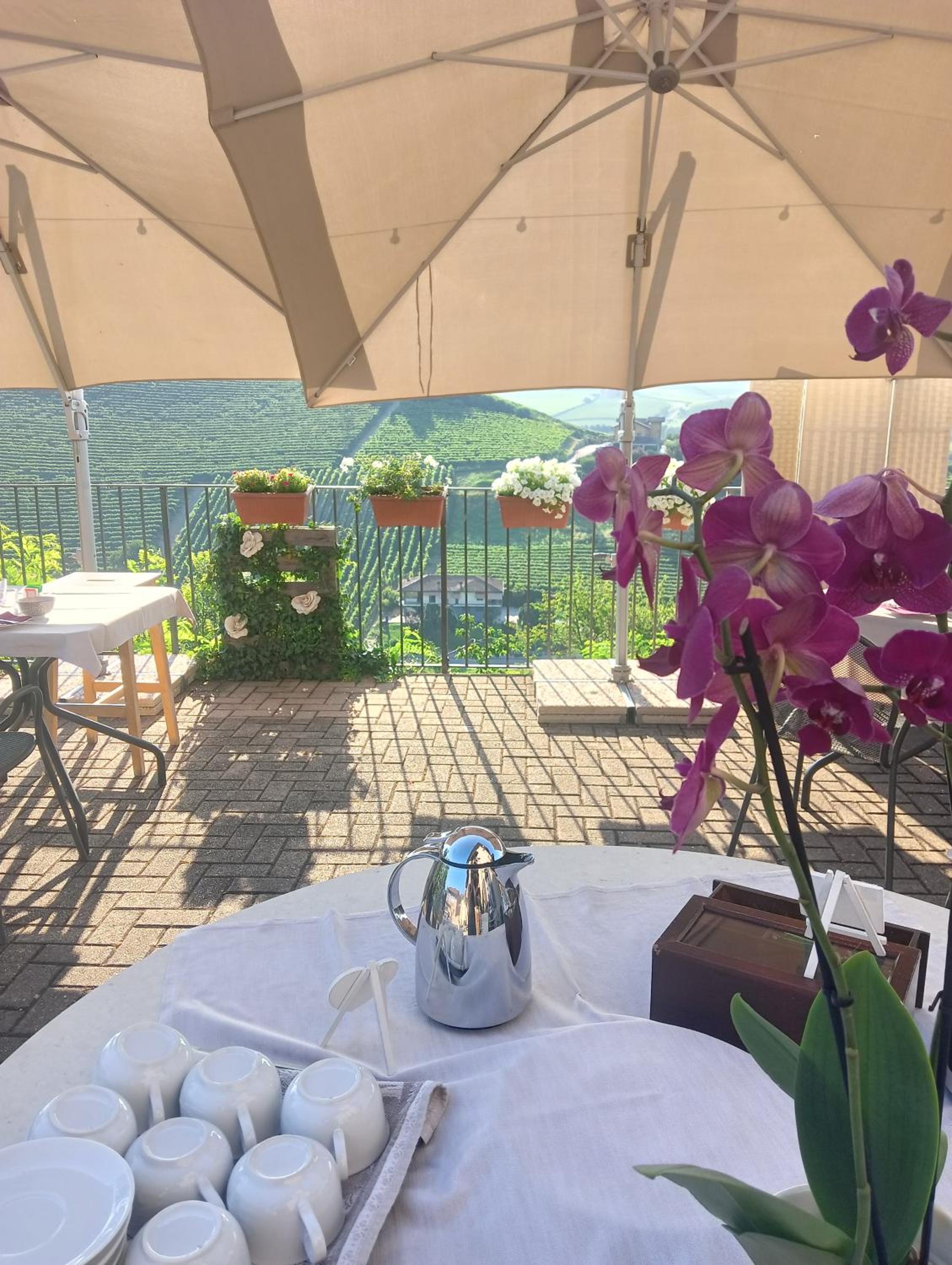 Il Borgo B&B