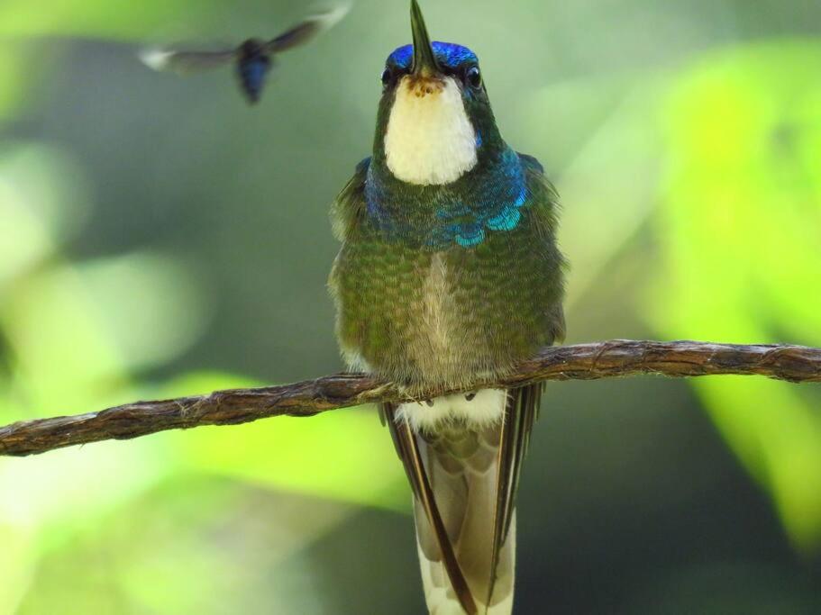 Casa Colibri