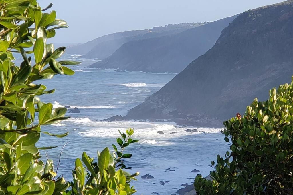 Mount 'n Sea Retreat Studio view 2