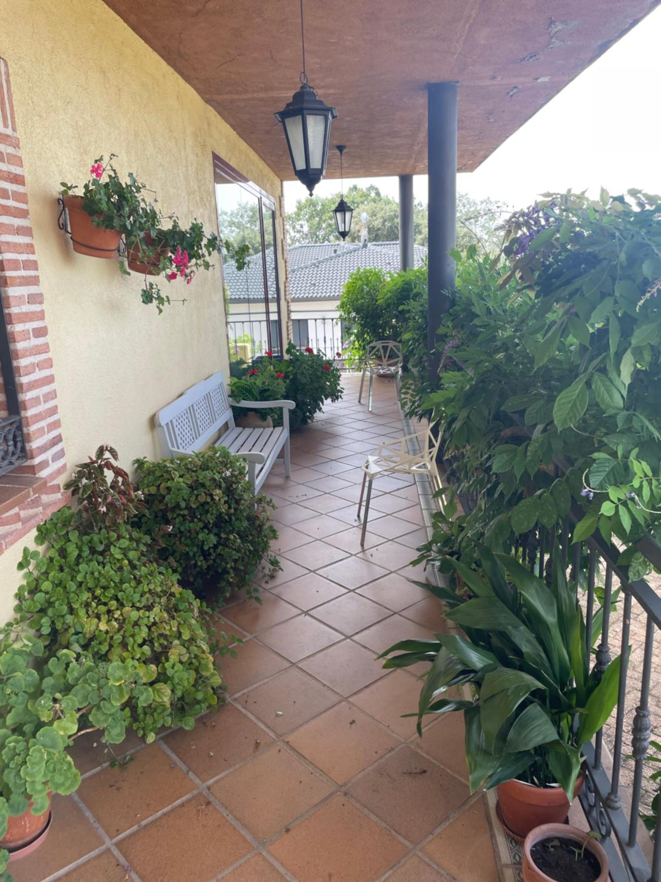 Photo 49