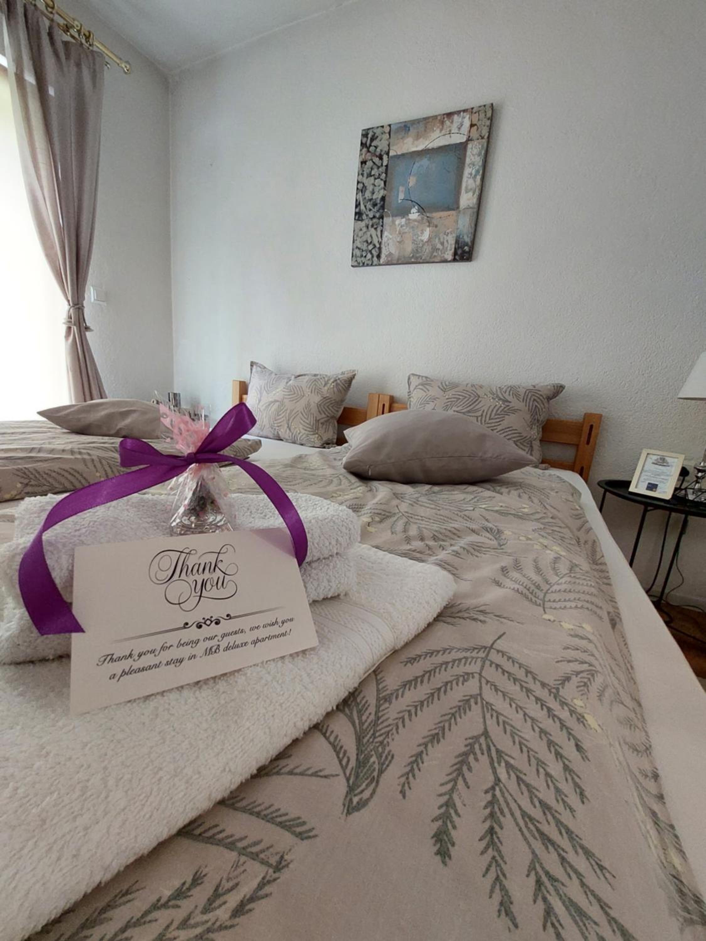 MB Deluxe Apartment view 4