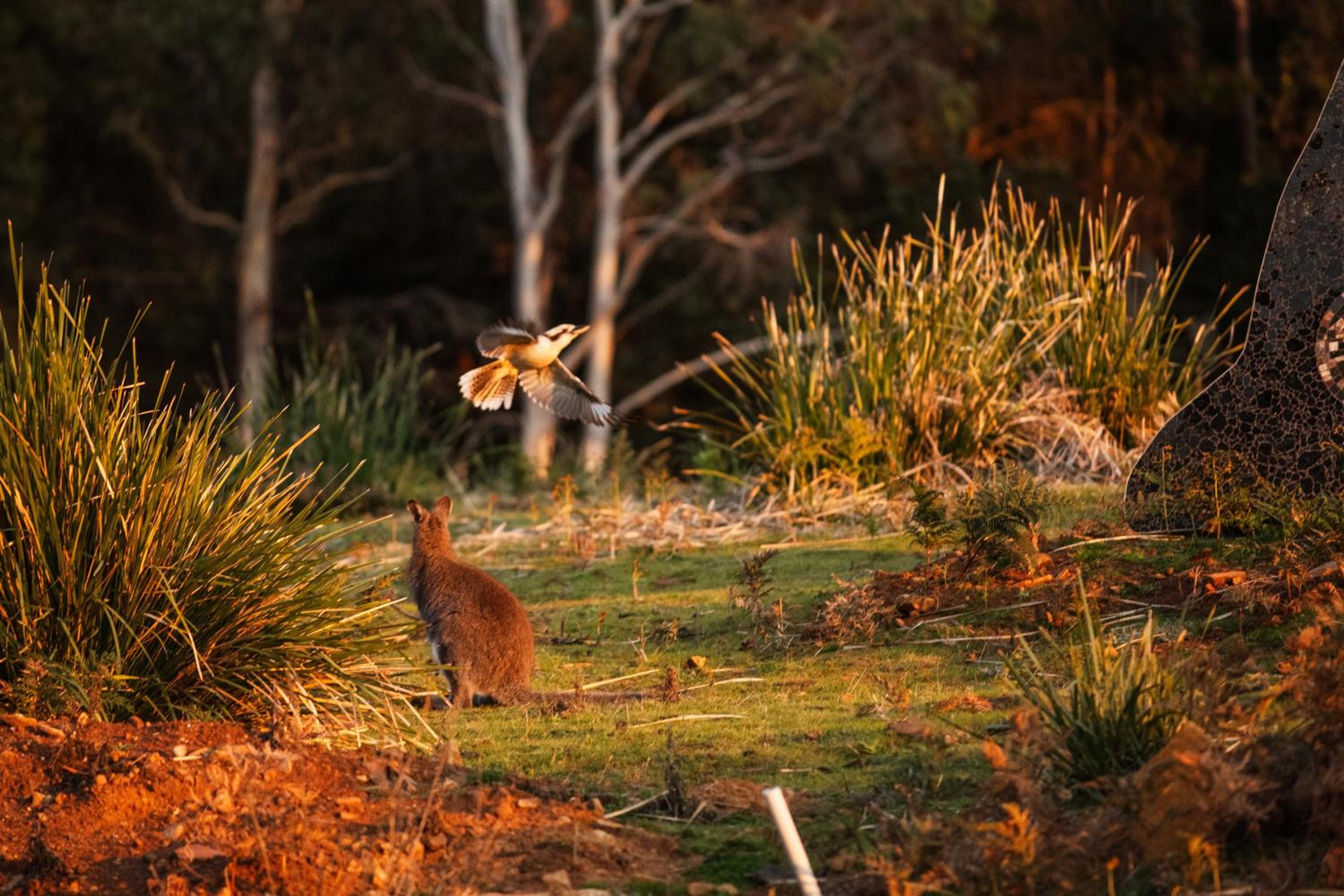 Freycinet Resort