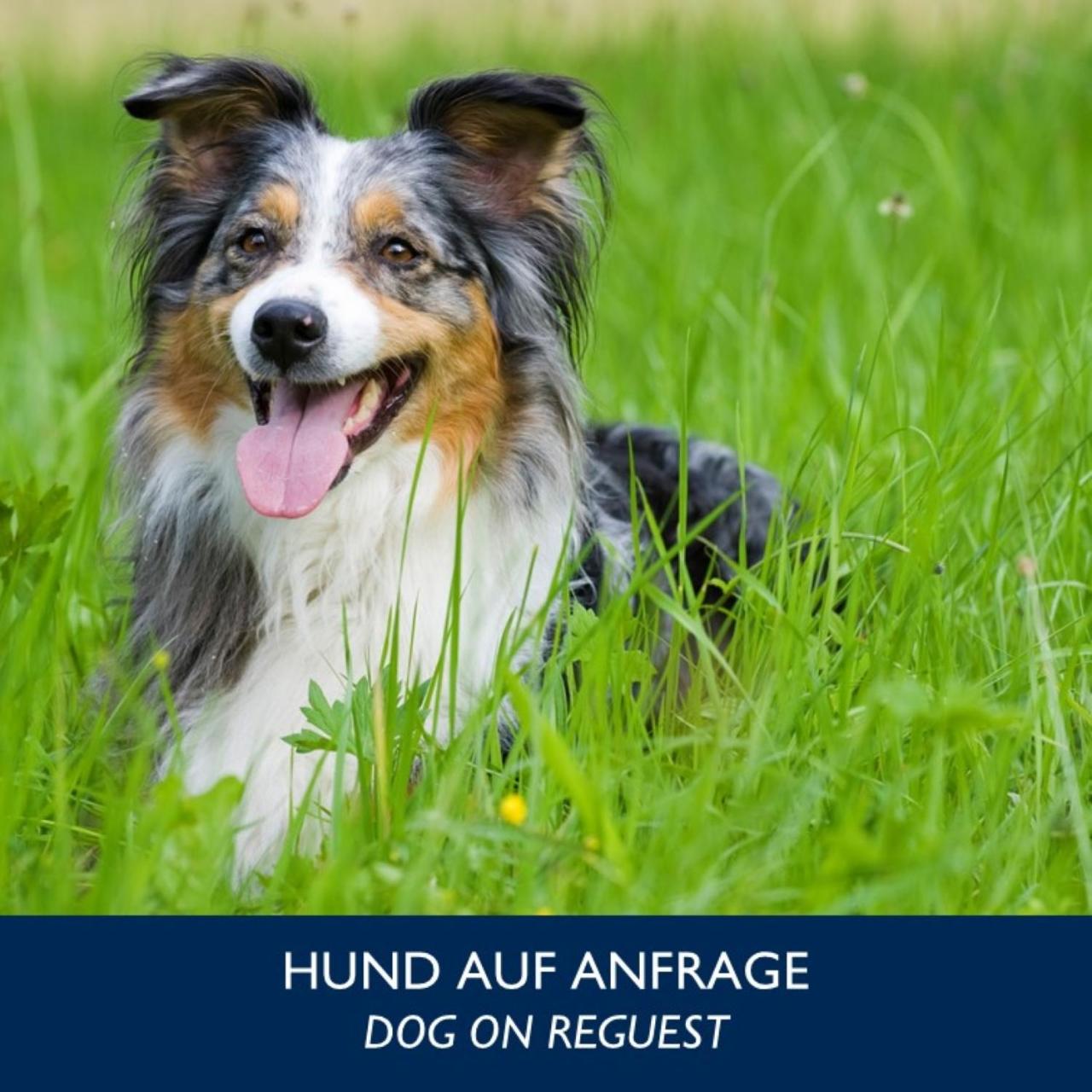 Dresden Vacations - Radisson Blu Park Hotel  Conference Centre - Property Image 55