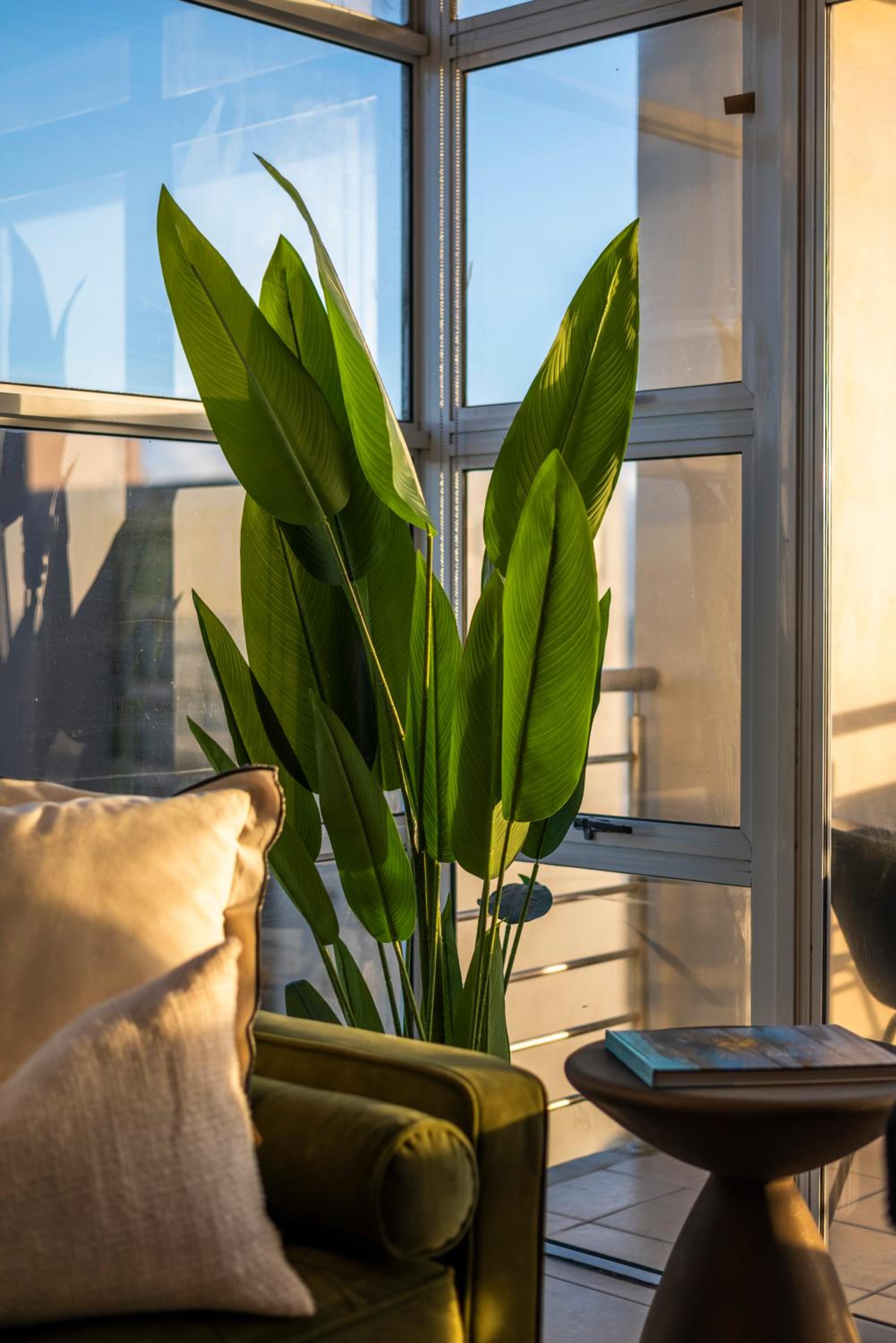 Stylish Sunlit Ocean View Oasis!