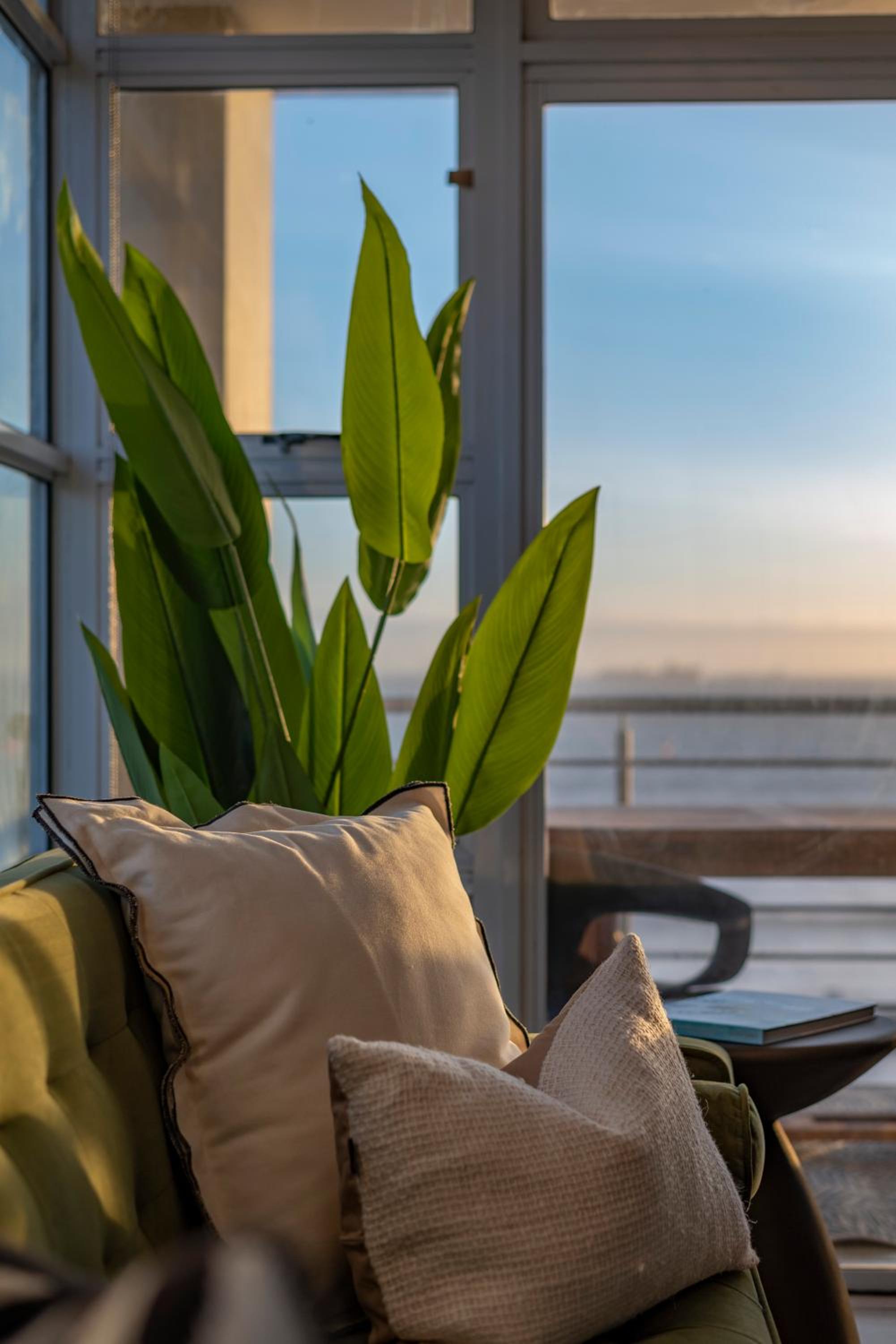 Stylish Sunlit Ocean View Oasis!