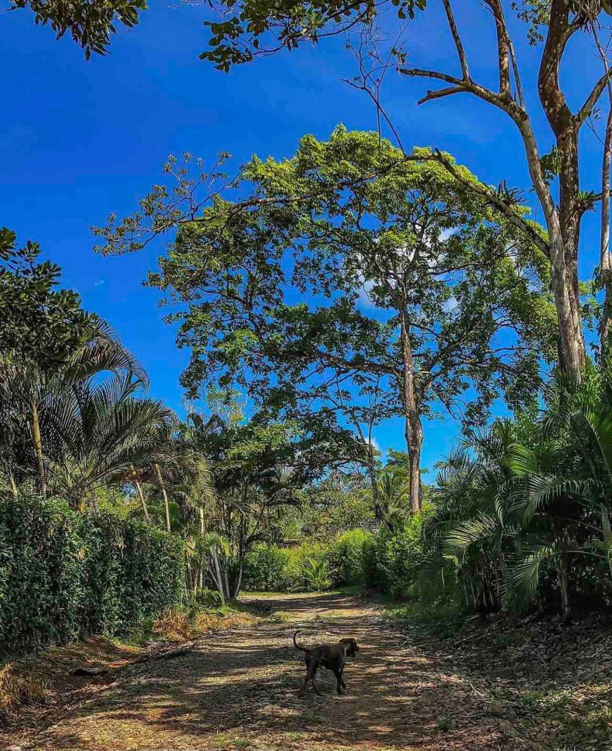Photo 23