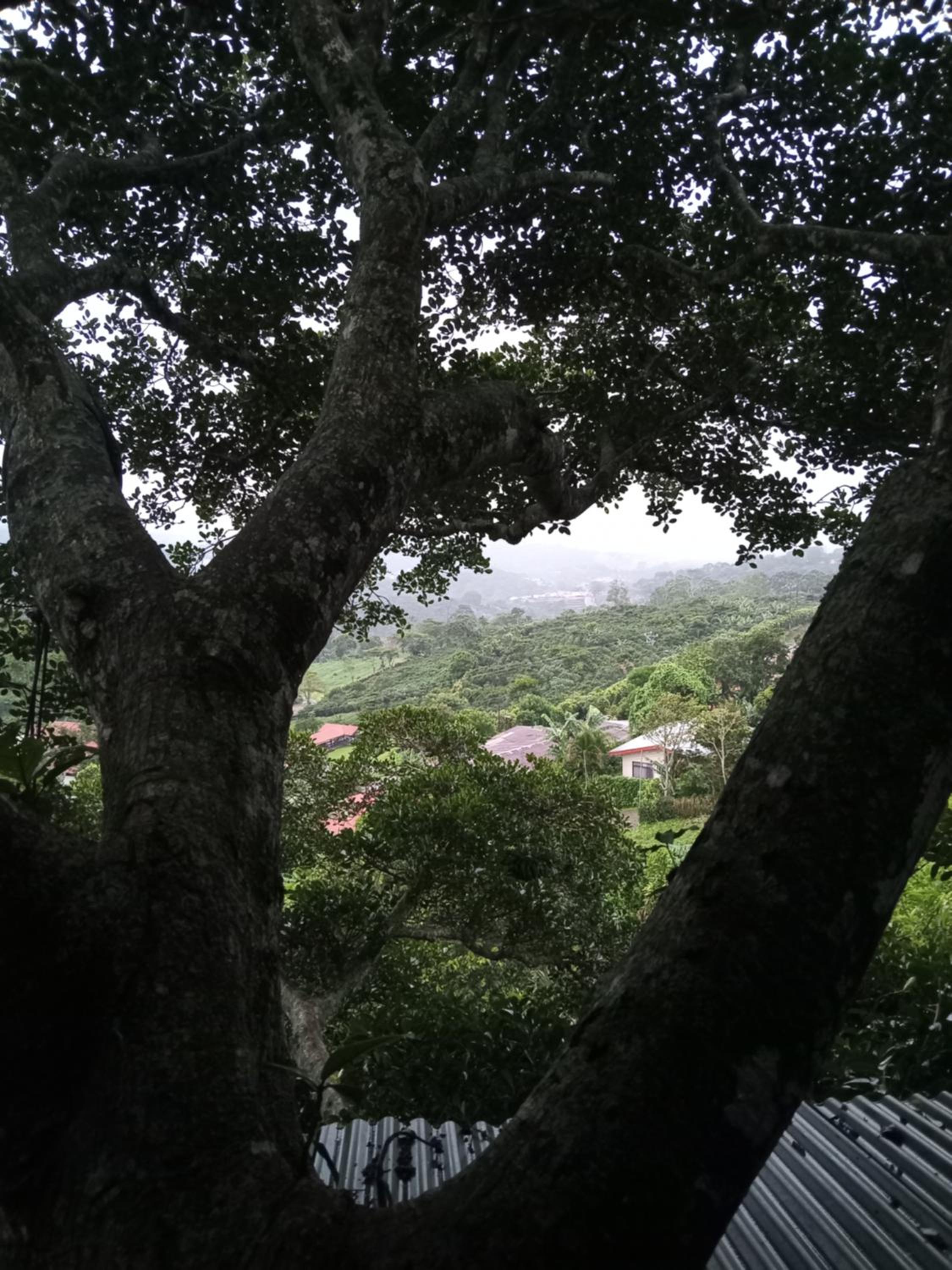 Casa del Arbol Feel Good