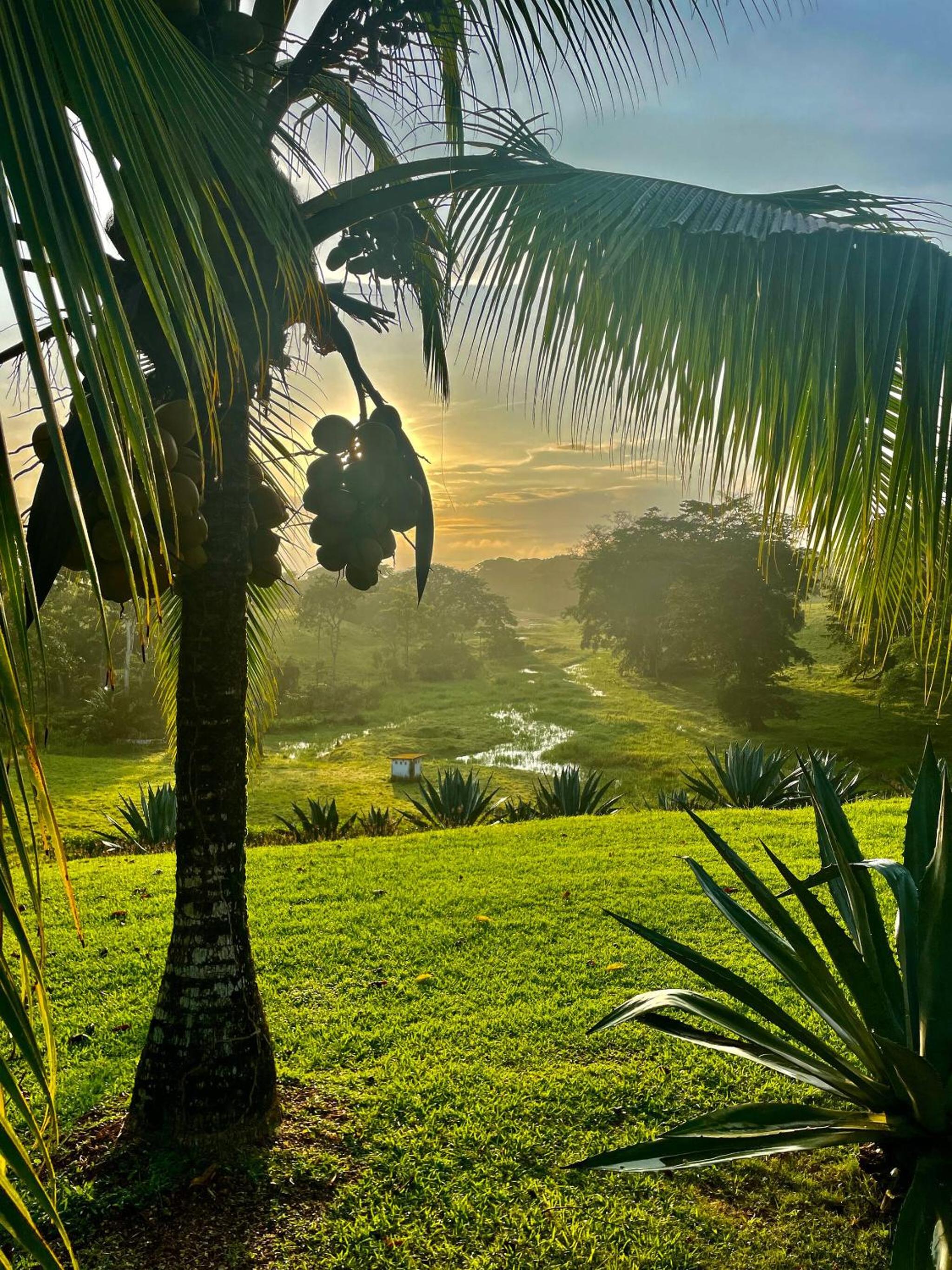Amazing House Paradise view 3