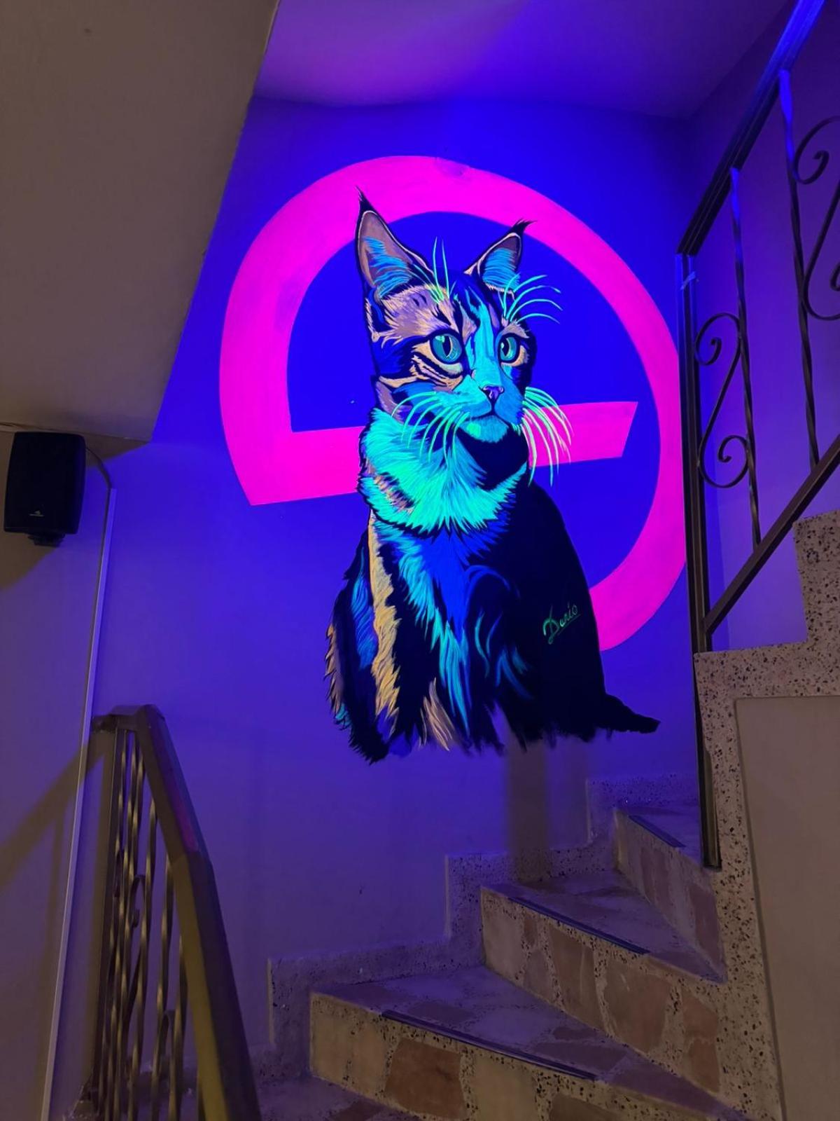 Gato Neon Hostel