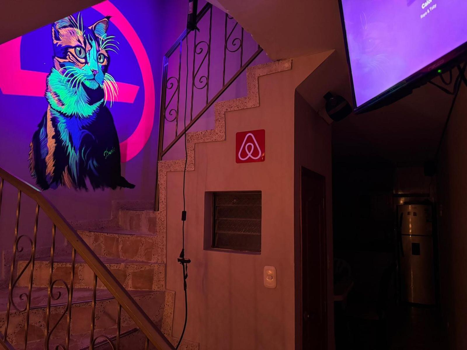 Gato Neon Hostel