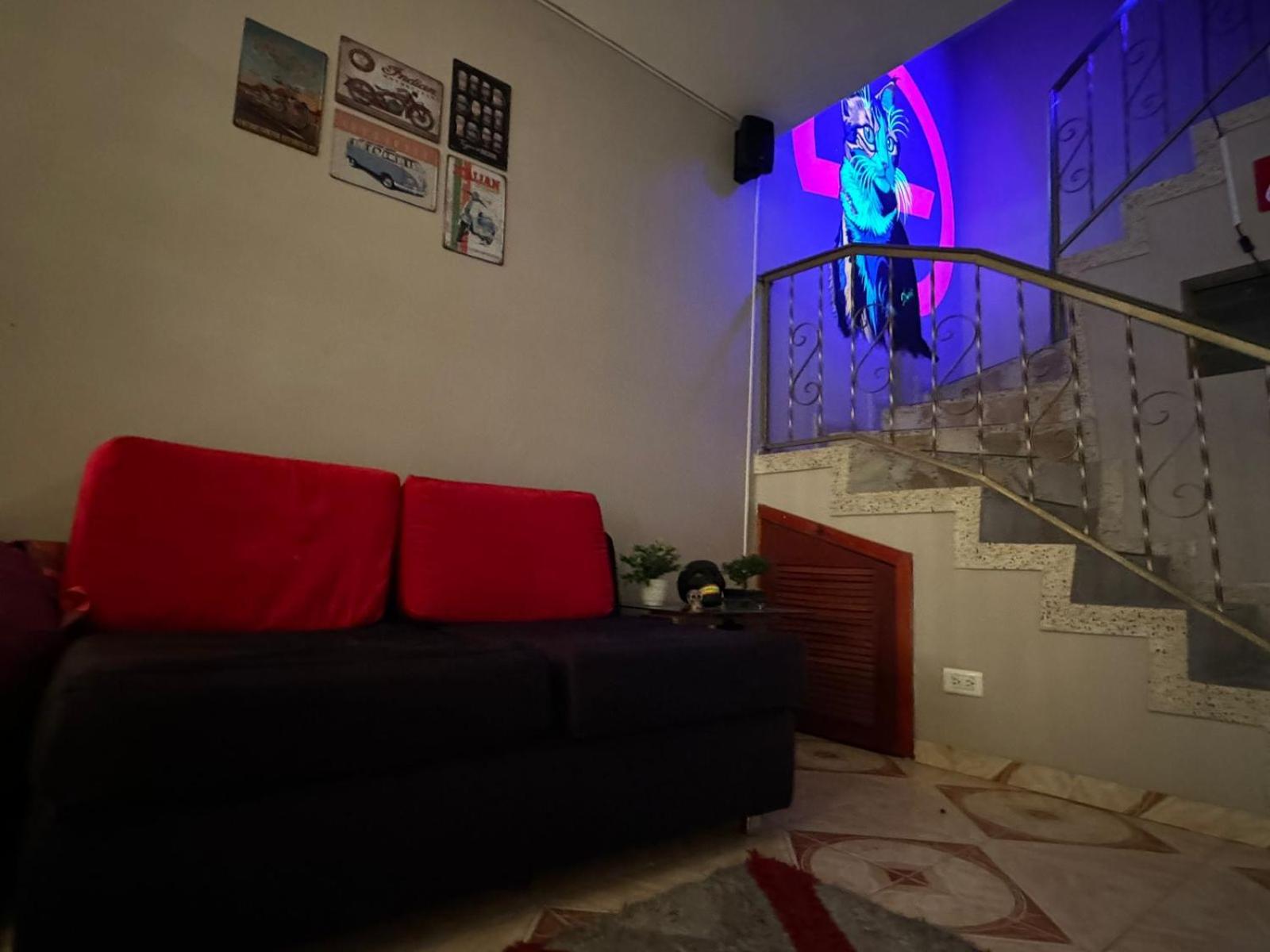 Gato Neon Hostel
