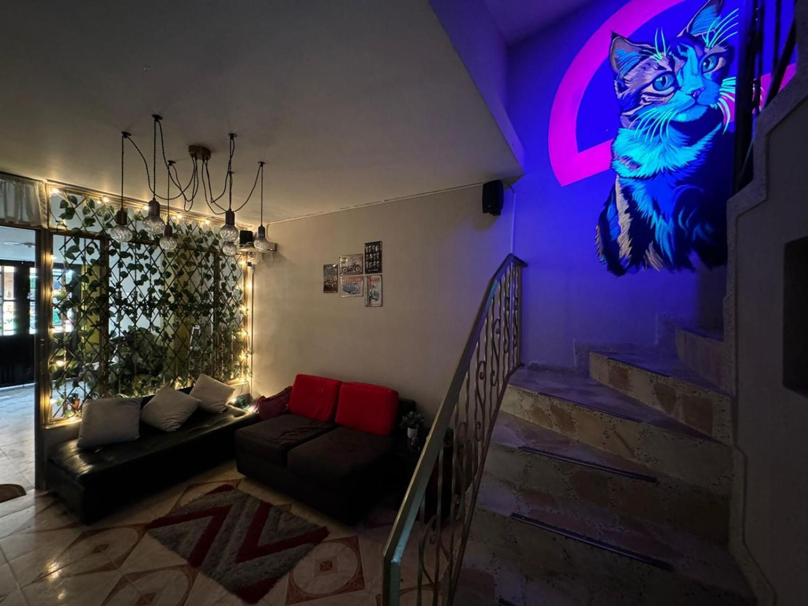 Gato Neon Hostel