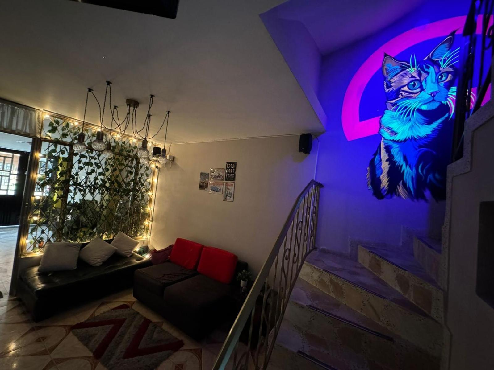 Gato Neon Hostel