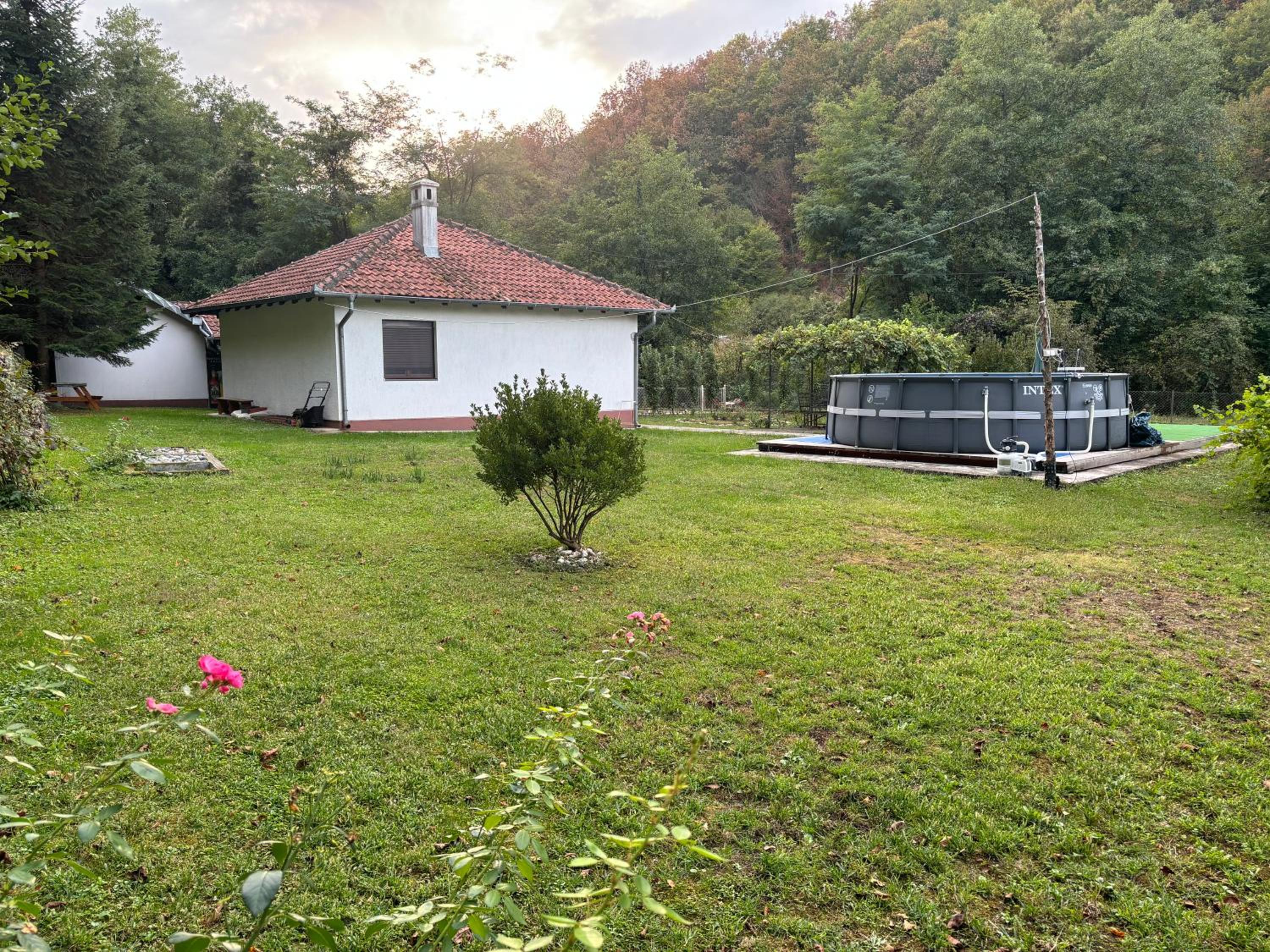 Vitez Koja