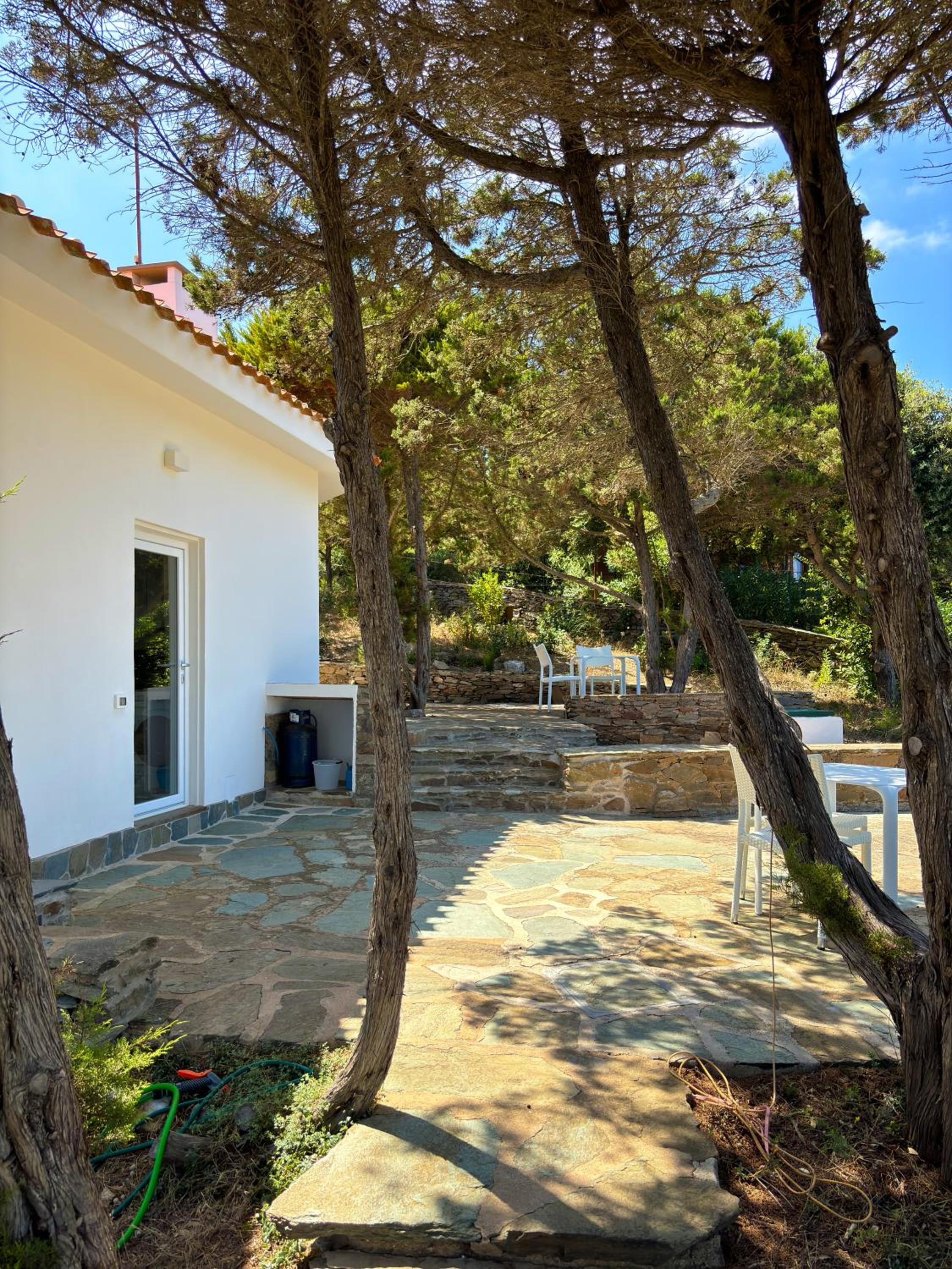 Photo 43