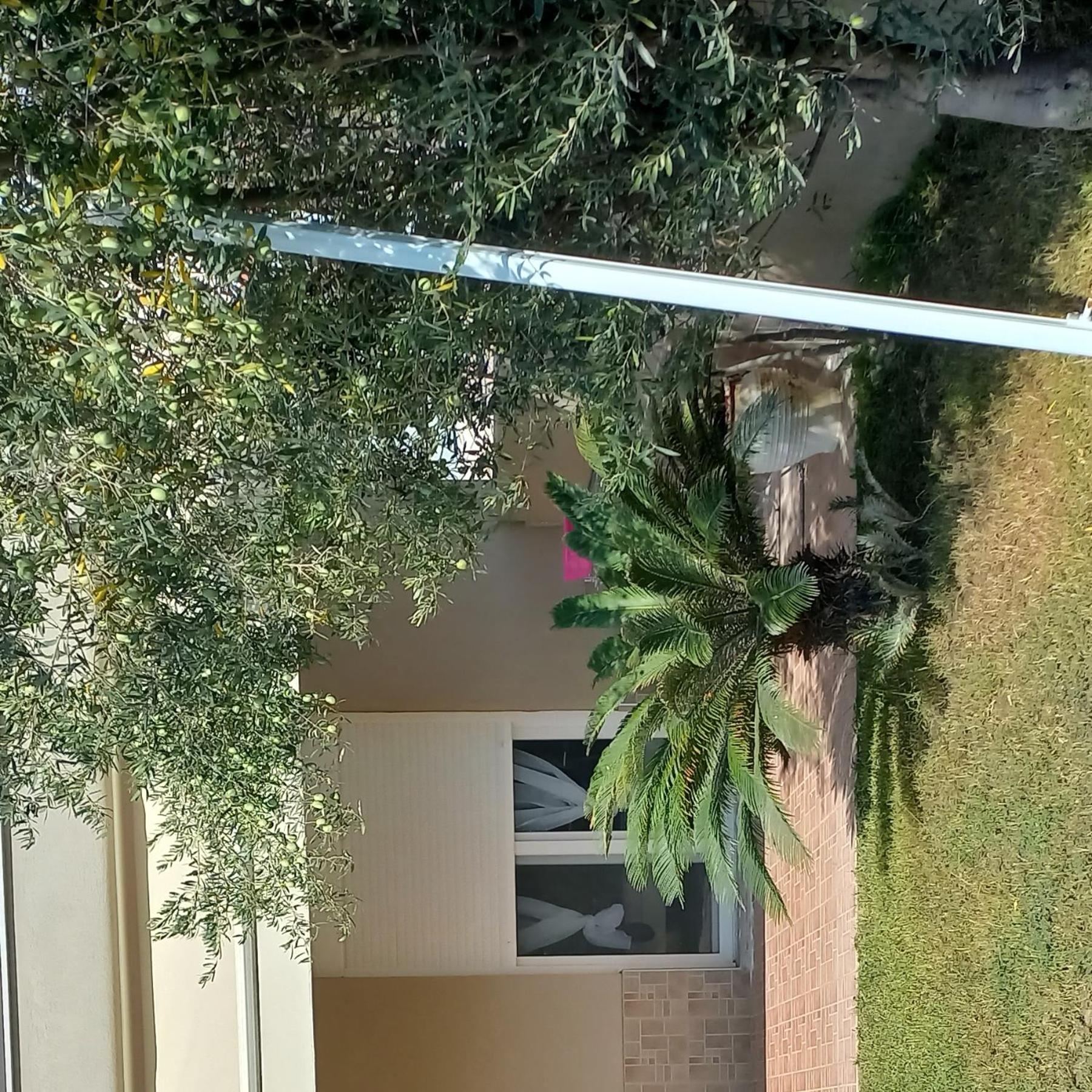 Palm Garden apartment view 4