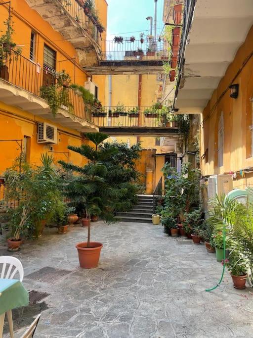 nel cuore di trastevere