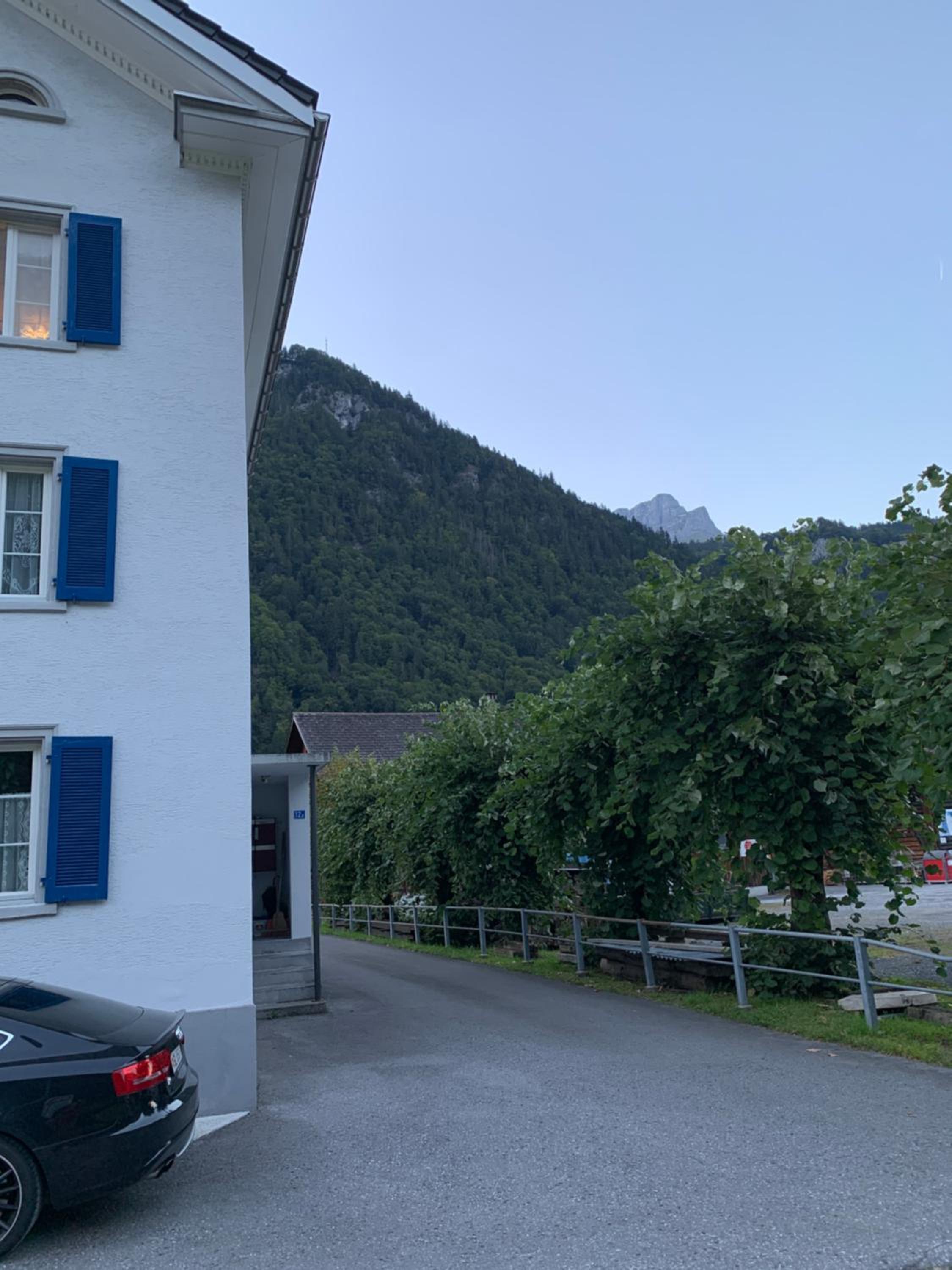Vista a los Alpes