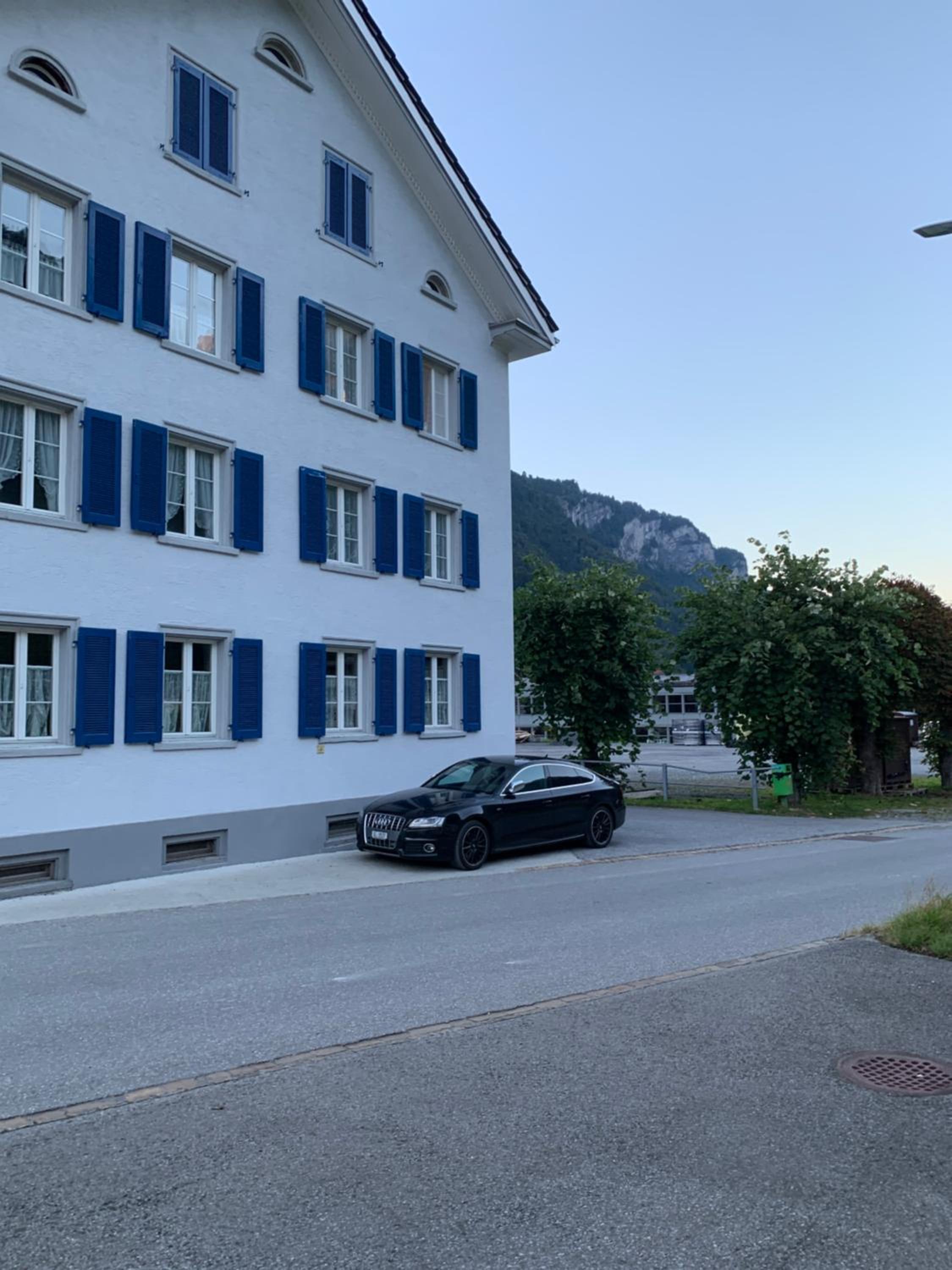 Vista a los Alpes