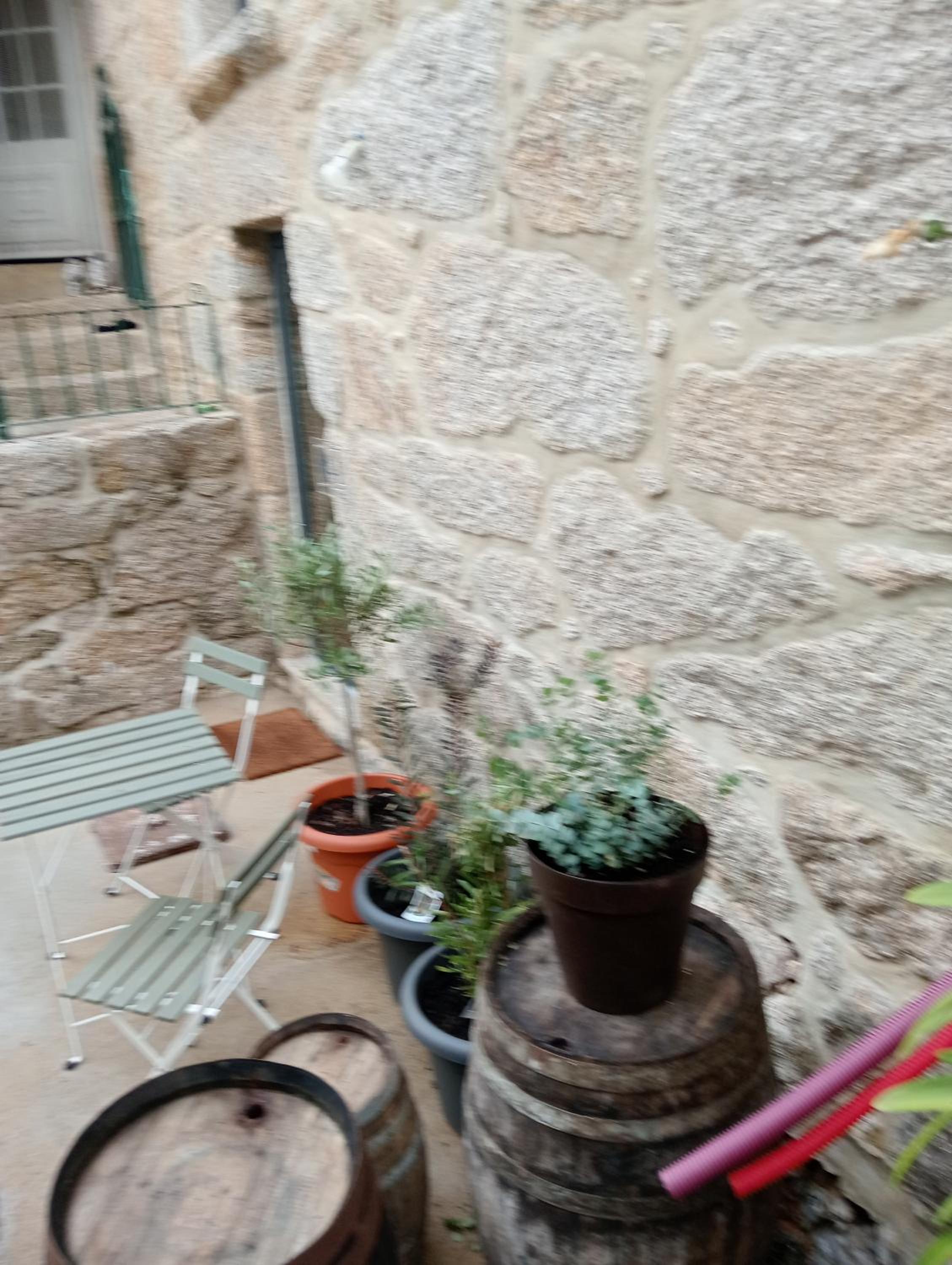 Casa da Fraga view 2