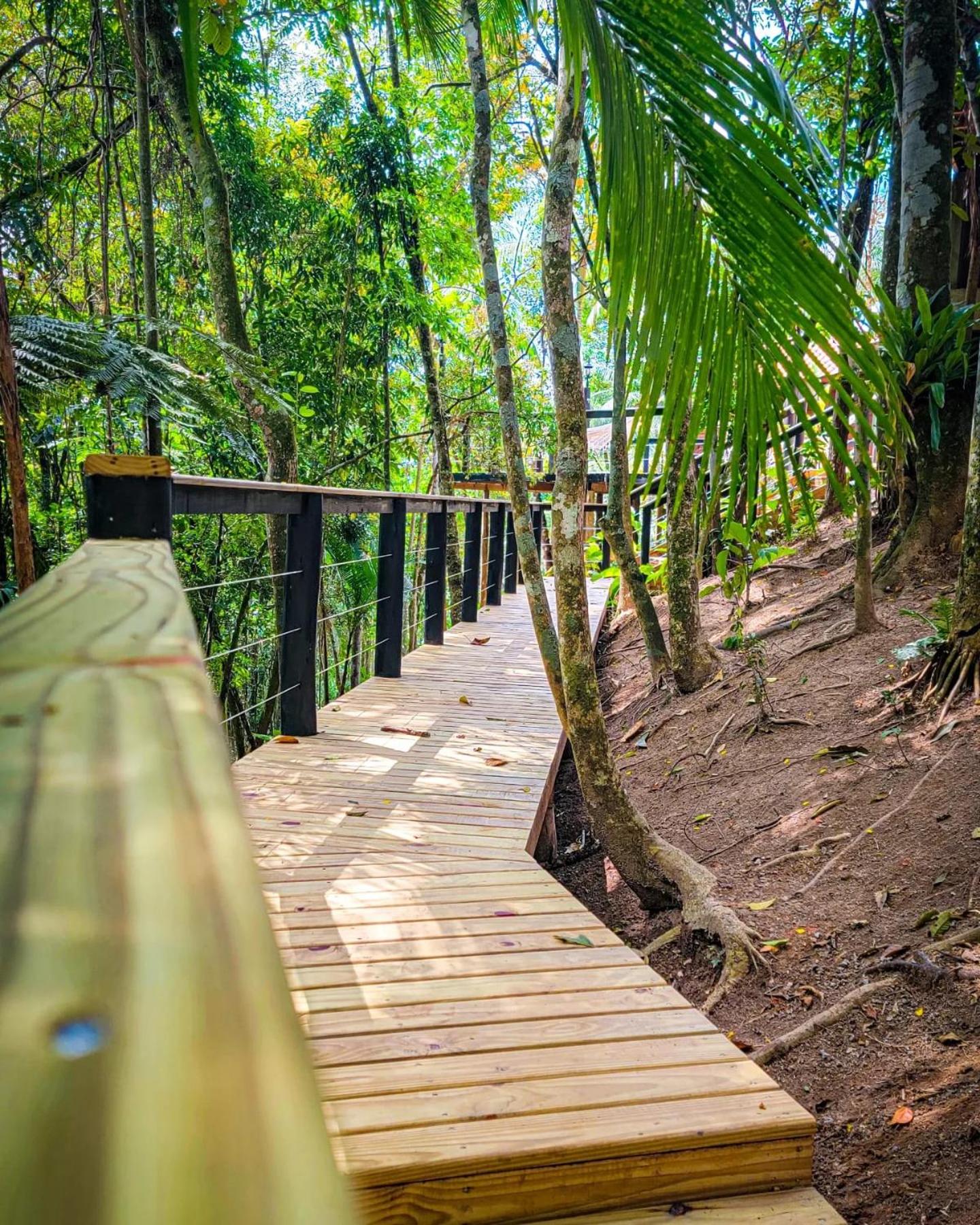 Bulegreen Cabanas