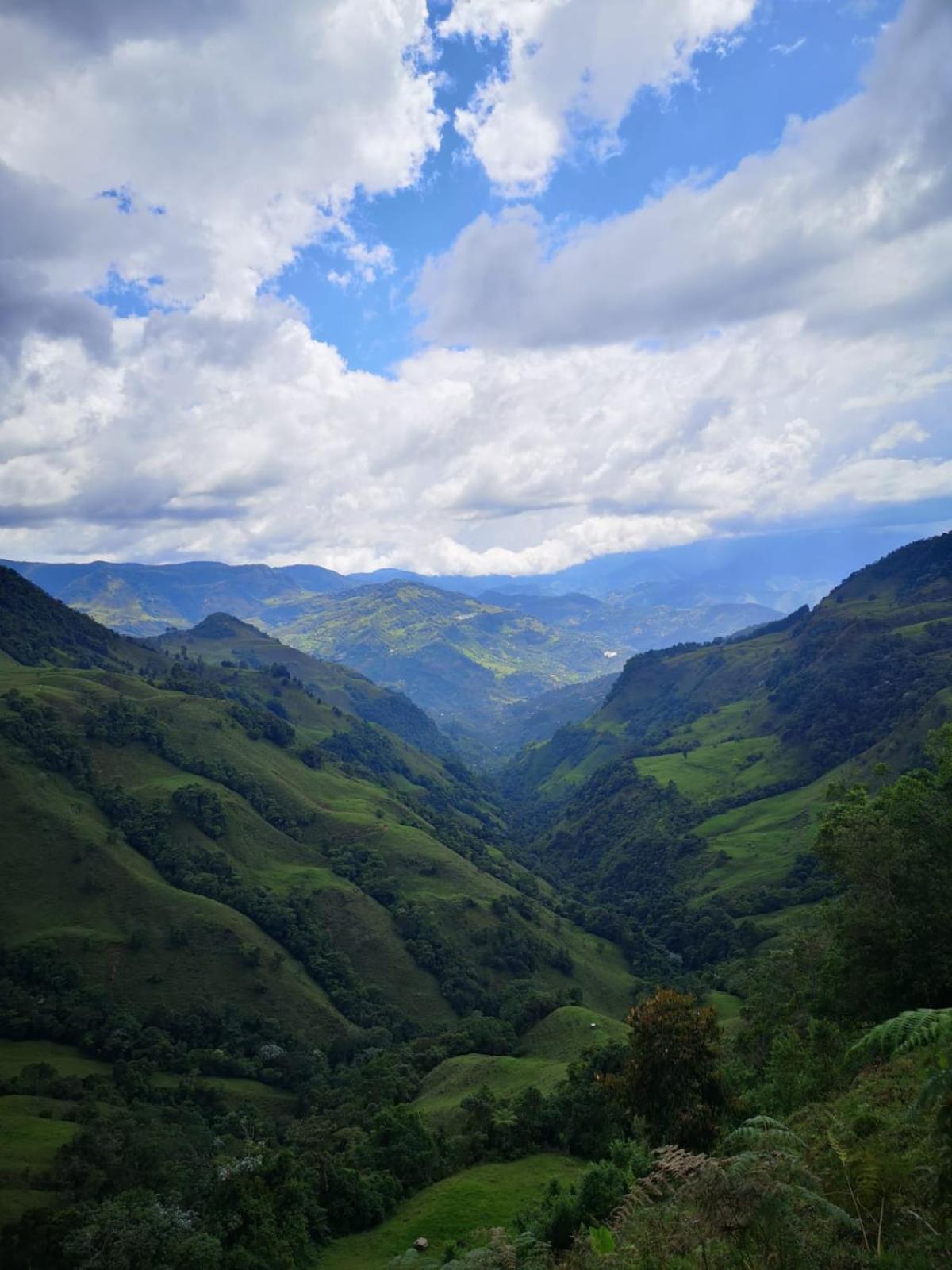 Incredible Working Coffee Farm Private Lodging