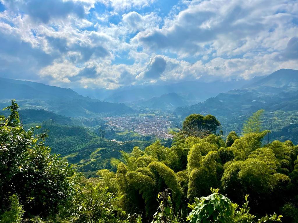 Incredible Working Coffee Farm Private Lodging