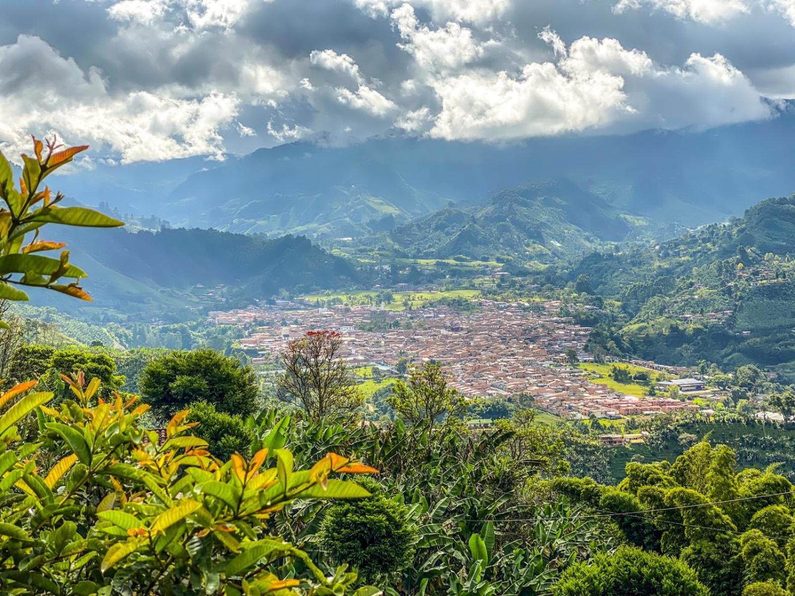 Incredible Working Coffee Farm Private Lodging